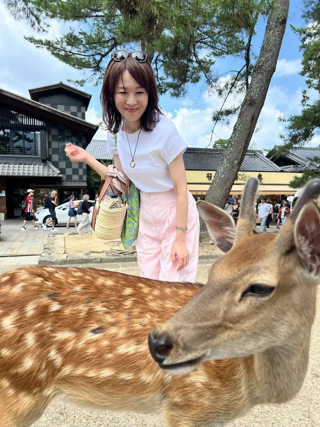 奈良の古寺巡り1泊2日の夫婦旅②と大阪の名物カレー