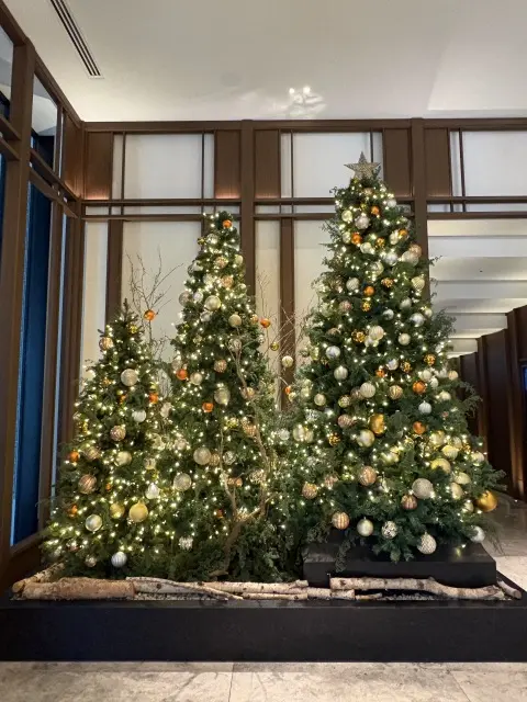 一年の締めくくりに、ウォルドーフ・アストリア大阪へ_1_4