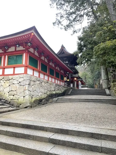 息子と奈良・京都旅行Part２_1_5-1