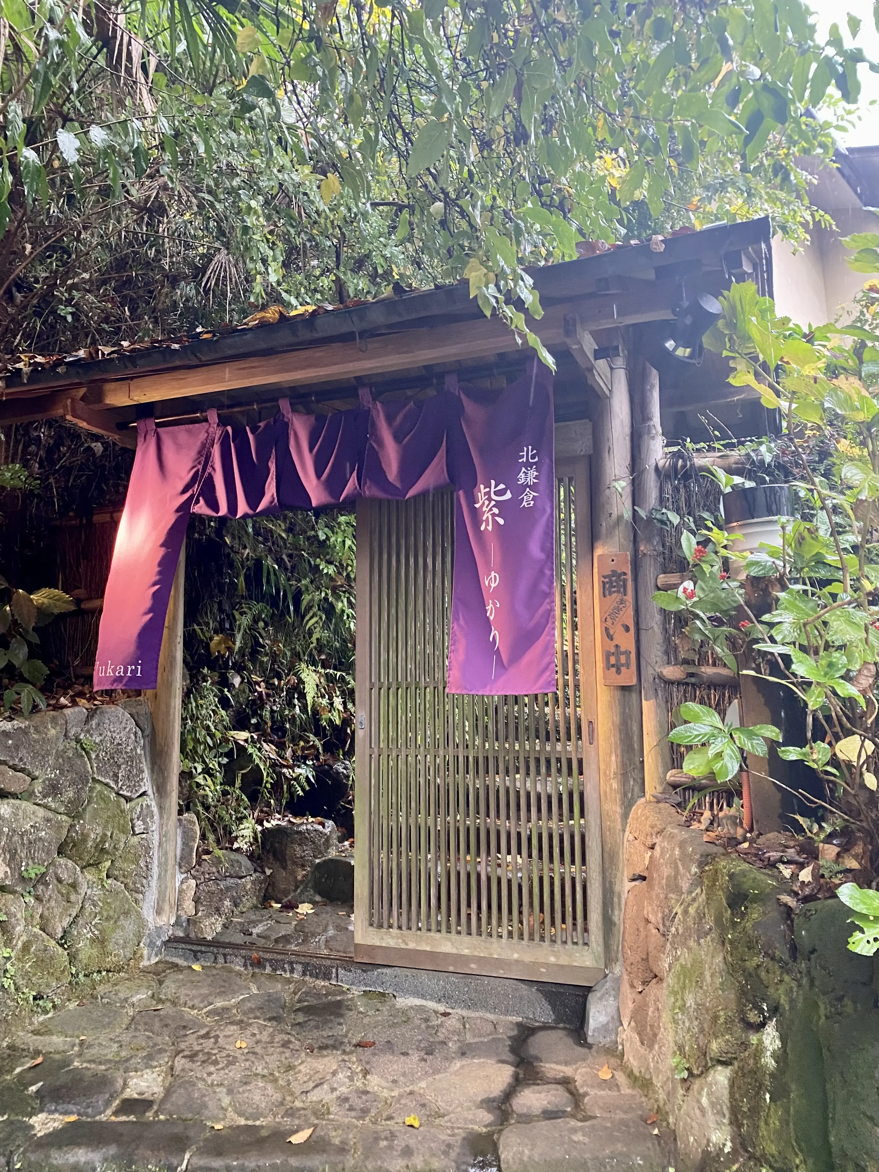 北鎌倉　紫