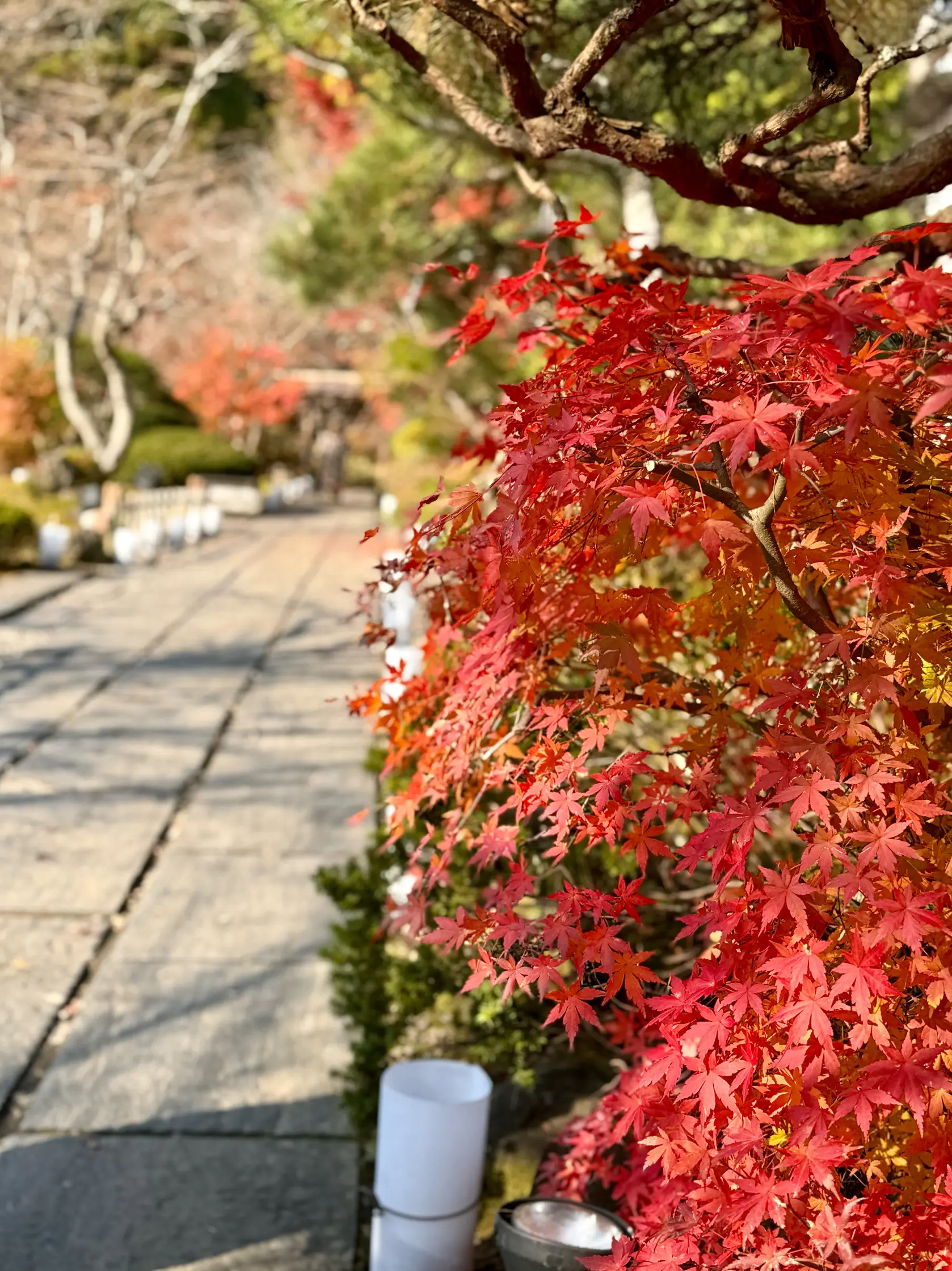 羽織るだけで見た目も気分も華やぐ♪ストールコーディネートで秋のお出かけ_1_14