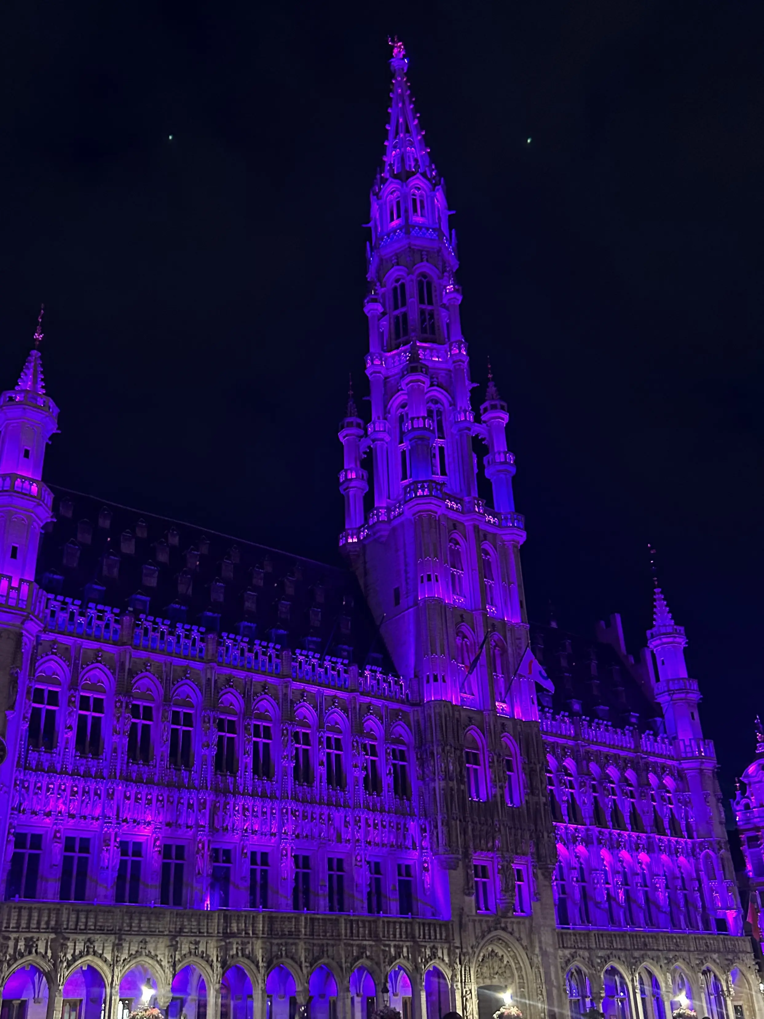 ベルギー　世界遺産　グランプラス　夜景