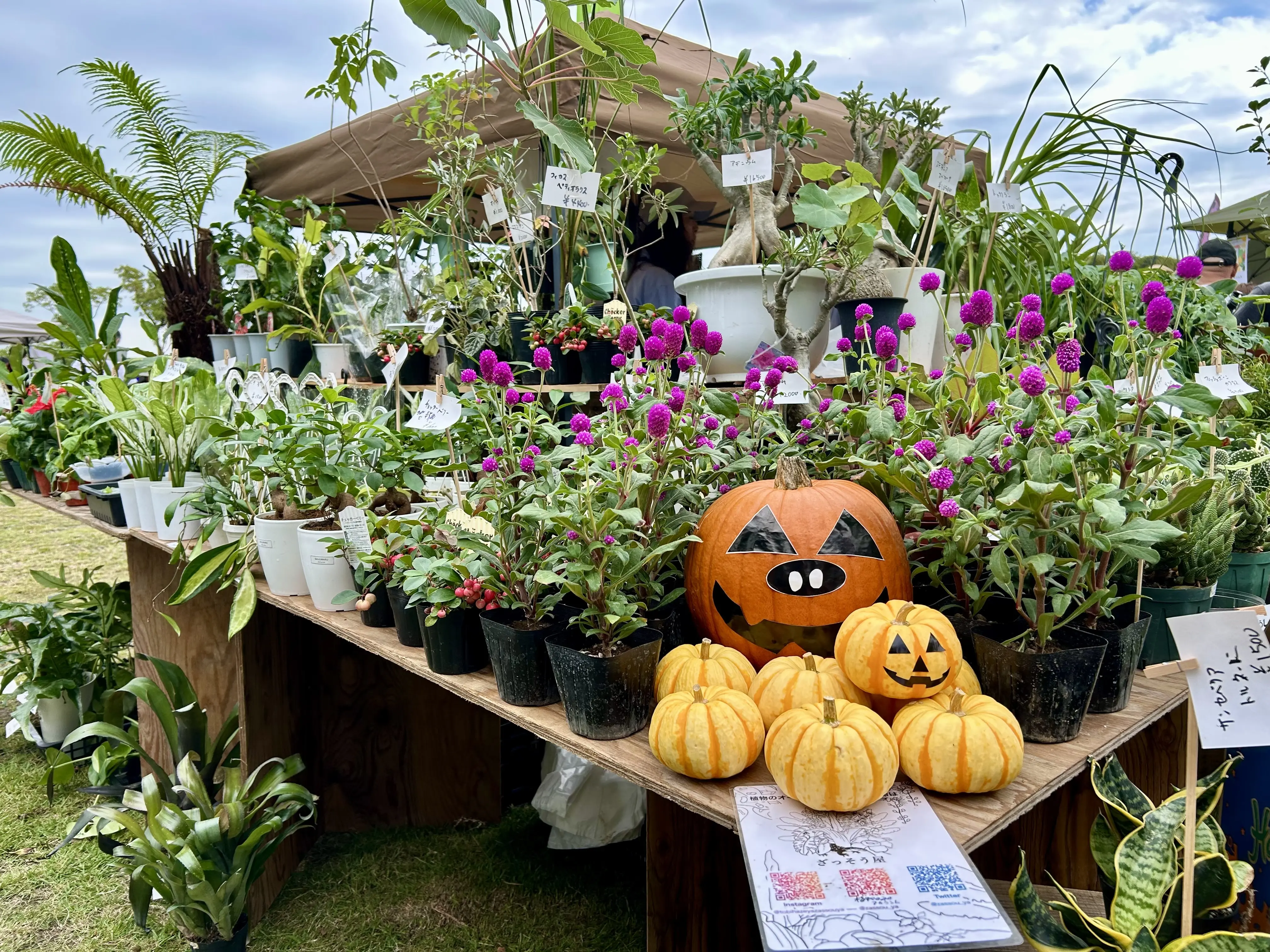 秋散歩は山下公園グリーンイベントへ_1_5