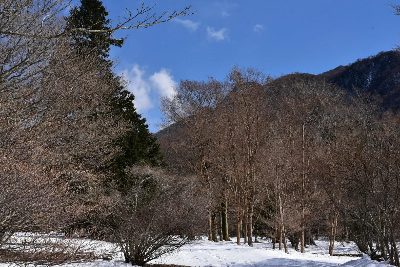 初ブログは大好きな箱根でのショット_1_2-2