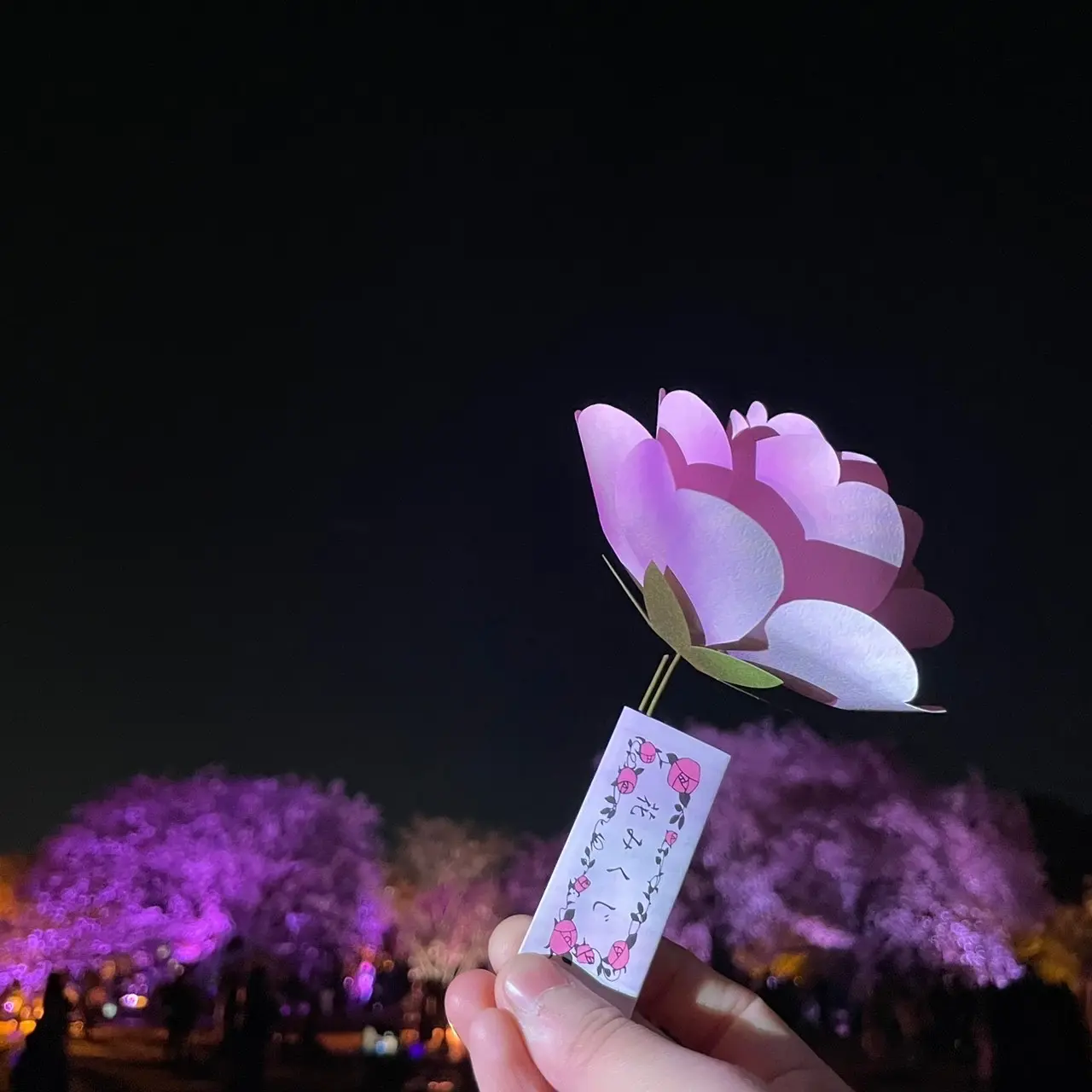 期間限定 ライトアップ夜桜　～幻想の世界～　新宿御苑×NAKID_1_5-1