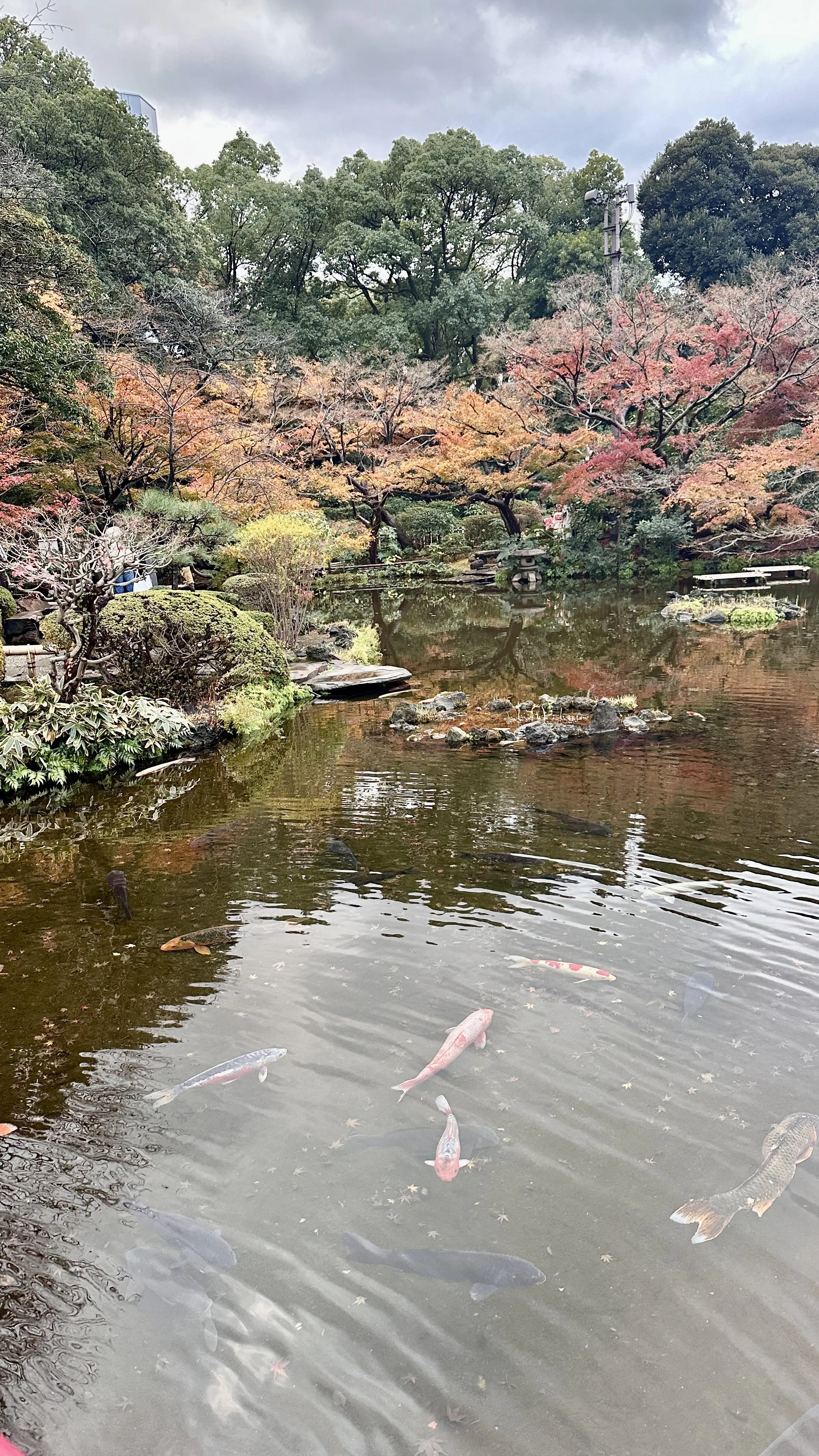 おそろいアクセサリーで、一足早く楽しむ「いちごのアフターヌーンティ」_1_2