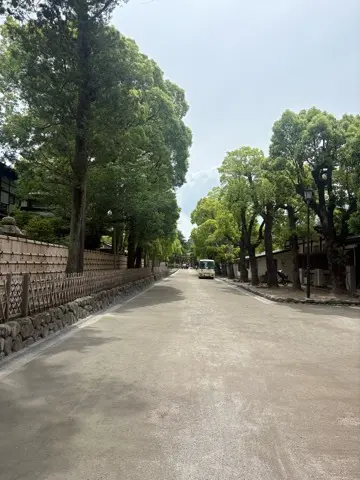 新緑眩しい鎌倉ハイキングに出掛けませんか？_1_4