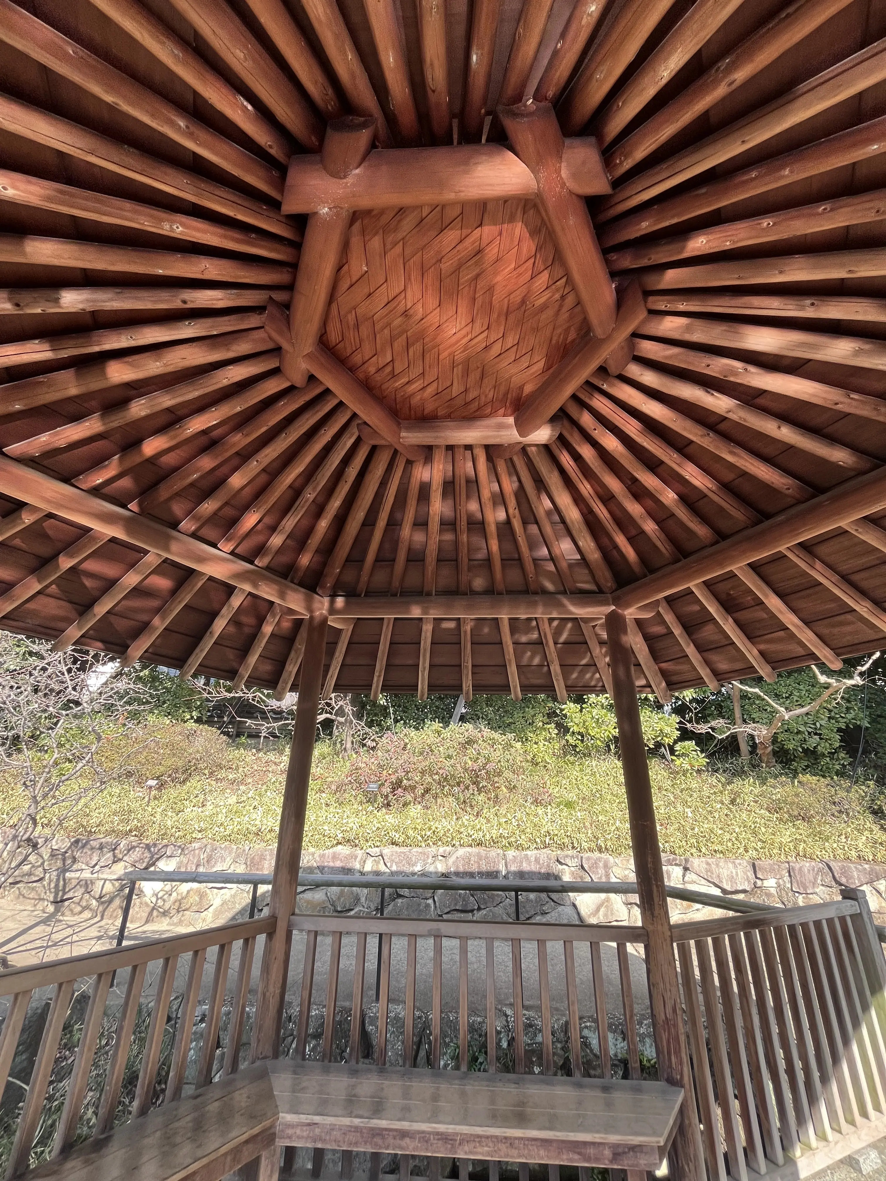 らくらくスニーカーで目白界隈1人散歩_1_13