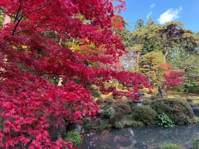 日光　日光東照宮　三猿　眠り猫　国宝　中禅寺湖　ゆば料理　プチ旅行　ショートトリップ。スペーシア　生ゆば懐石膳　和み茶屋　海老屋長造　輪王寺　初詣　日光詣　日光ランチ