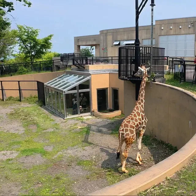 旭川動物園