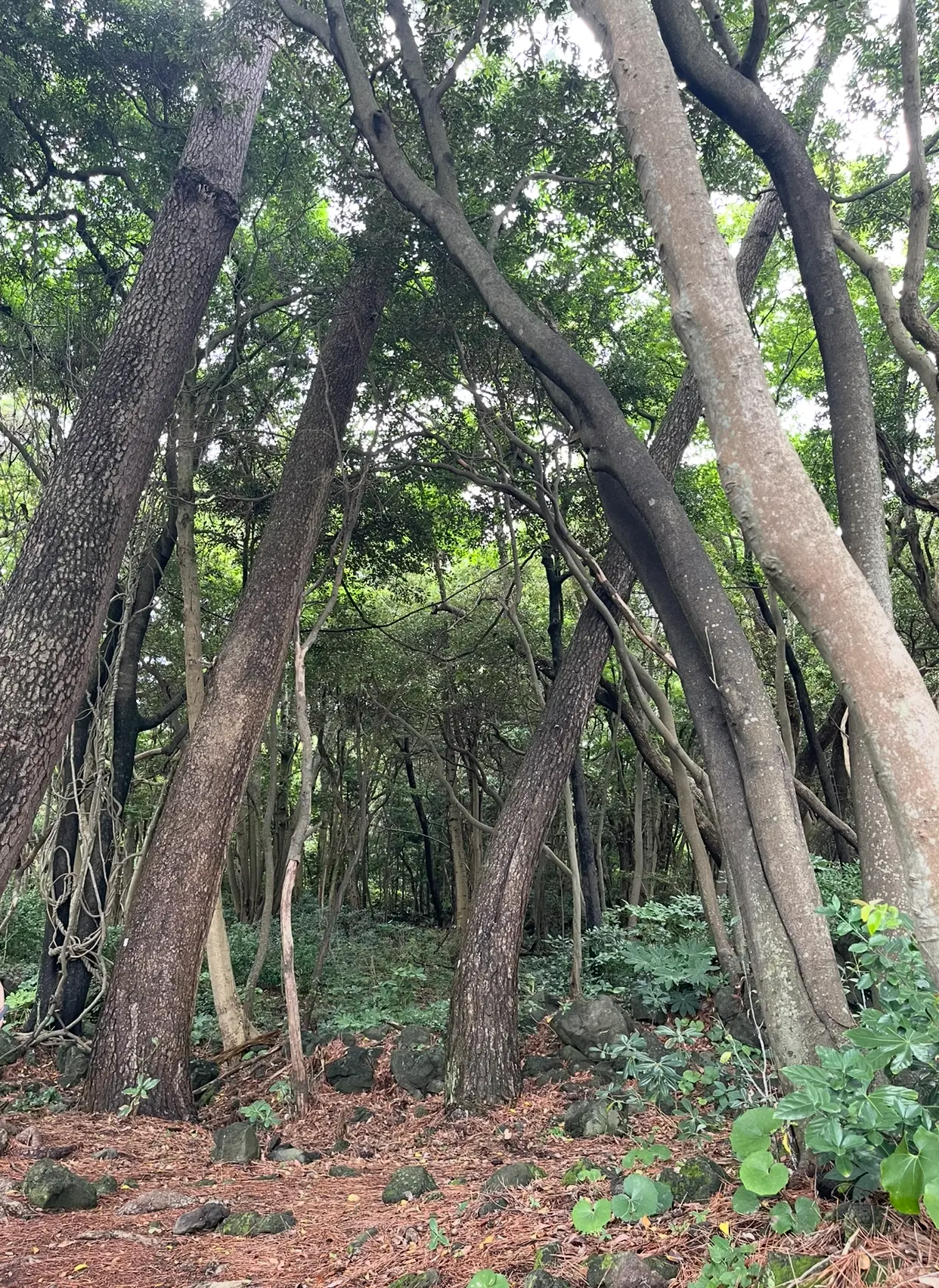 心もカラダも癒される！伊豆高原のオススメスポット。_1_2