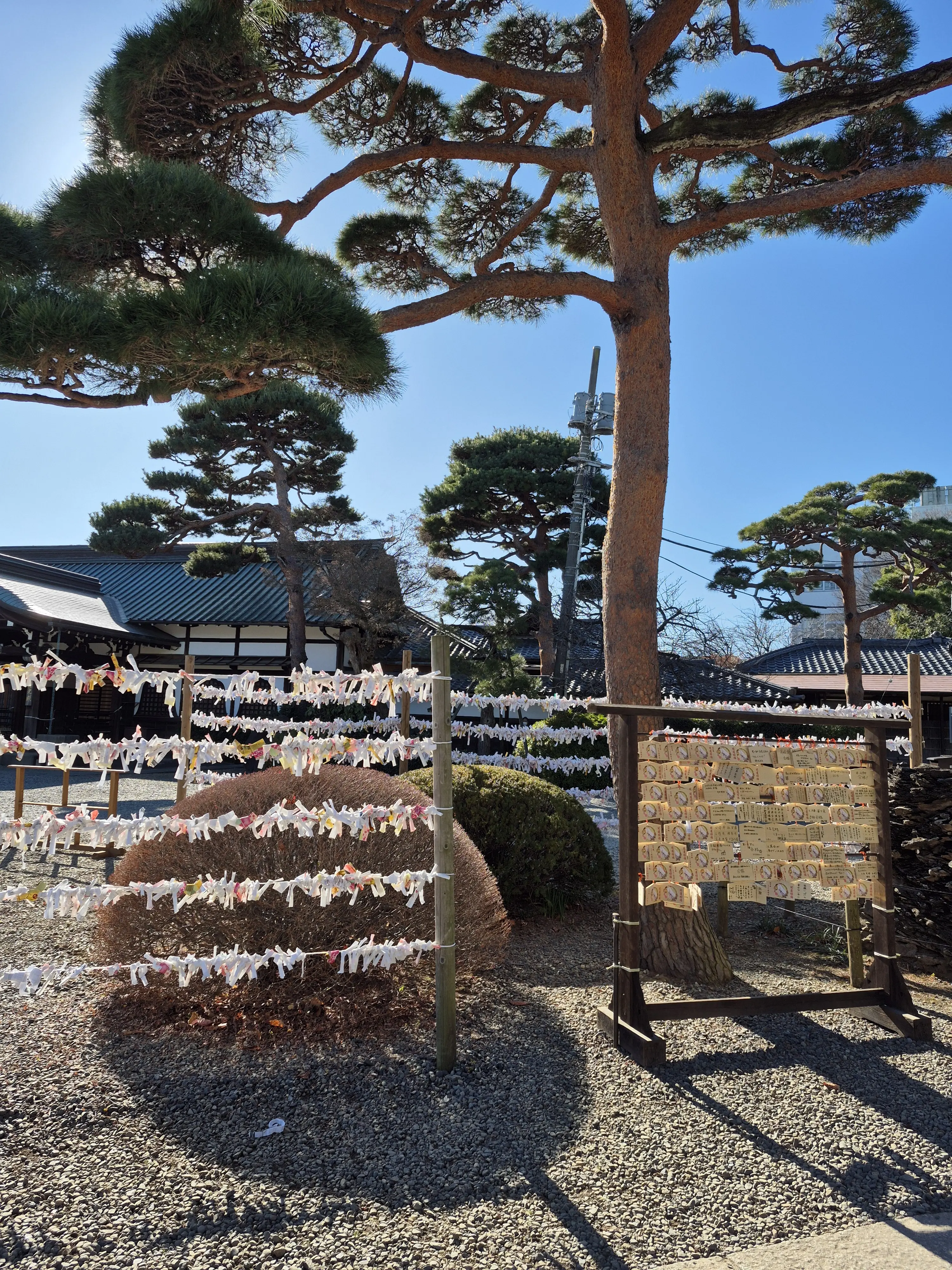 2026年【初詣レポ】護国寺のパワースポット&amp;グルメ_1_9-2