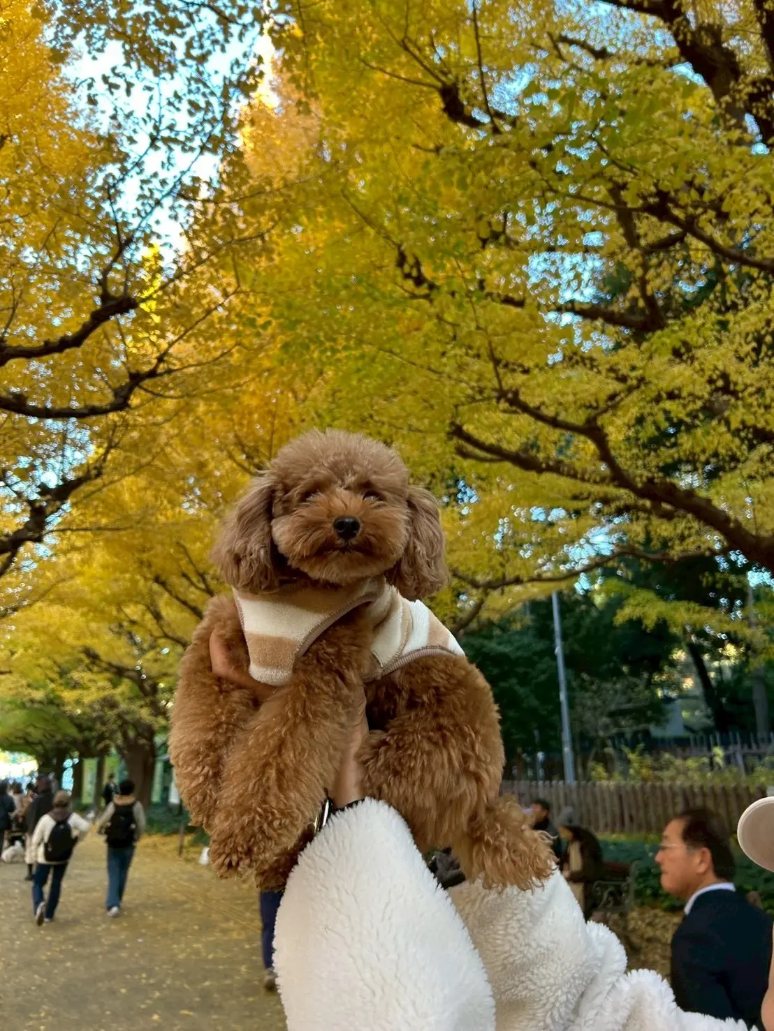 “心地よさ”と“きちんと感”が叶うきれいめスウェットパンツ_1_14-2