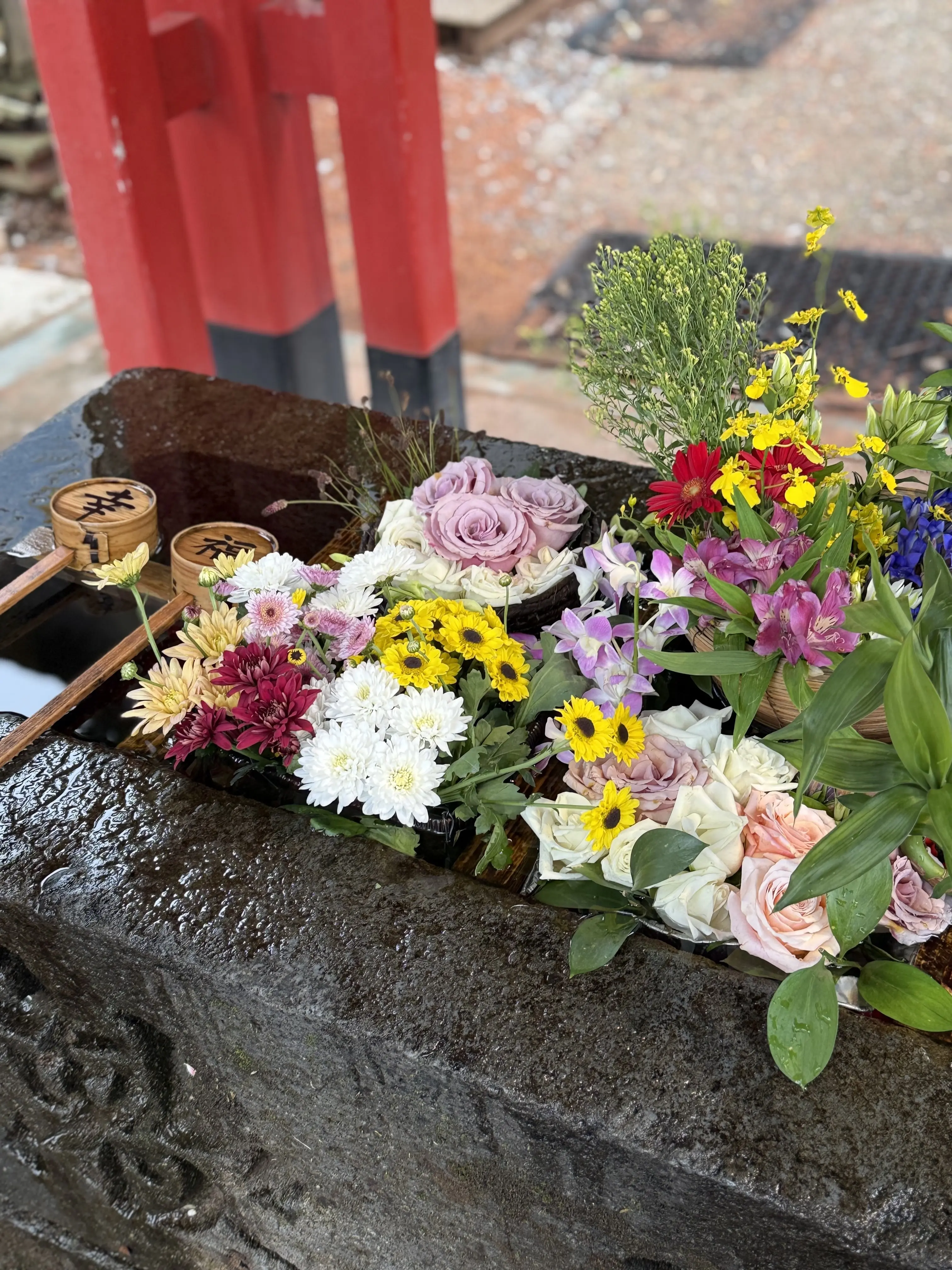 金沢で癒しの時間、美しすぎる石川県立図書館と神社巡り_1_20