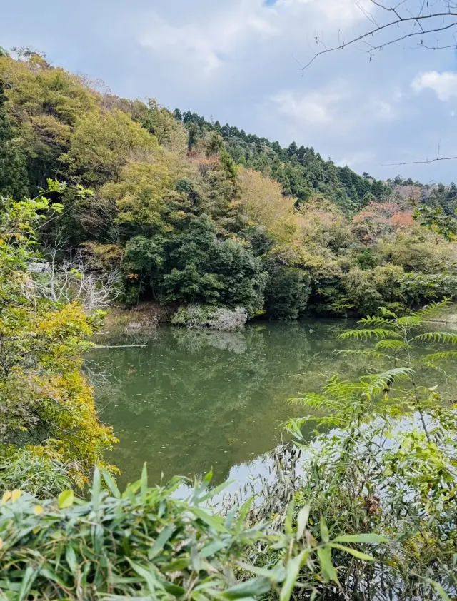 自然の宝庫LAKOTANで、秋を味わうBBQ_1_2