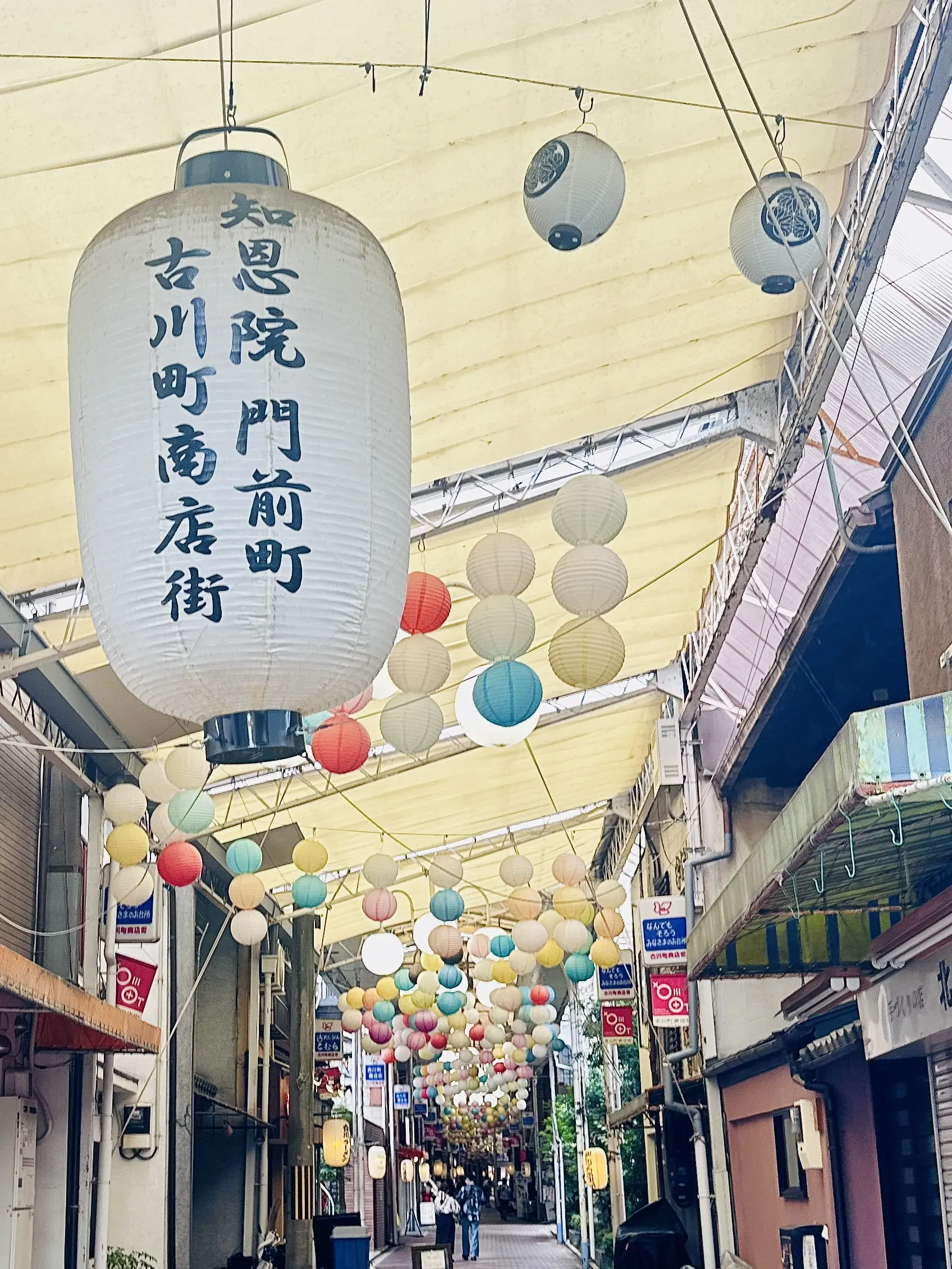 【京都】祇園ランチと白川散策_1_12