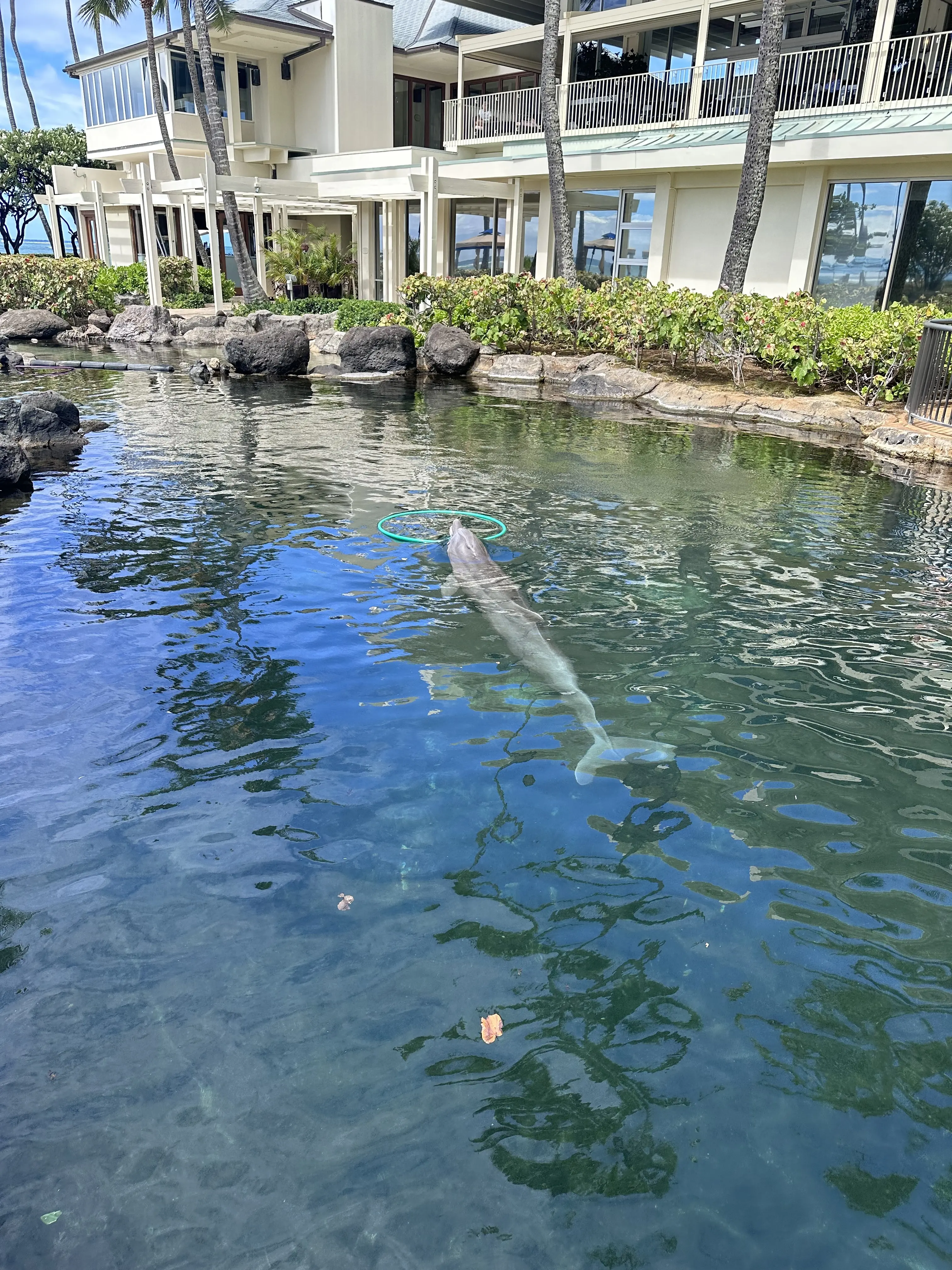 オアフ島へ移動してから_1_18