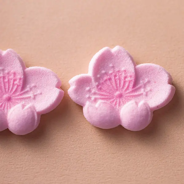 様々な表情で華やぐ、桜を愛でる“京の和菓子”【「京都」桜にまつわる10の愉しみ】_1_1-2