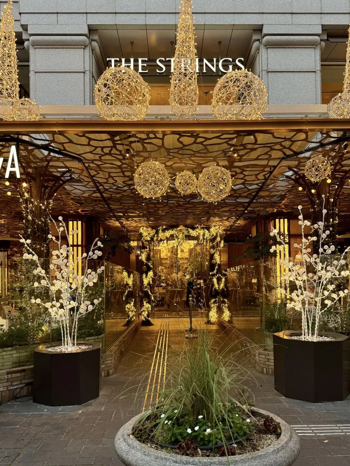 ブラックコーディネートでソワレ・ドゥ・エクラ 2025へ_1_11