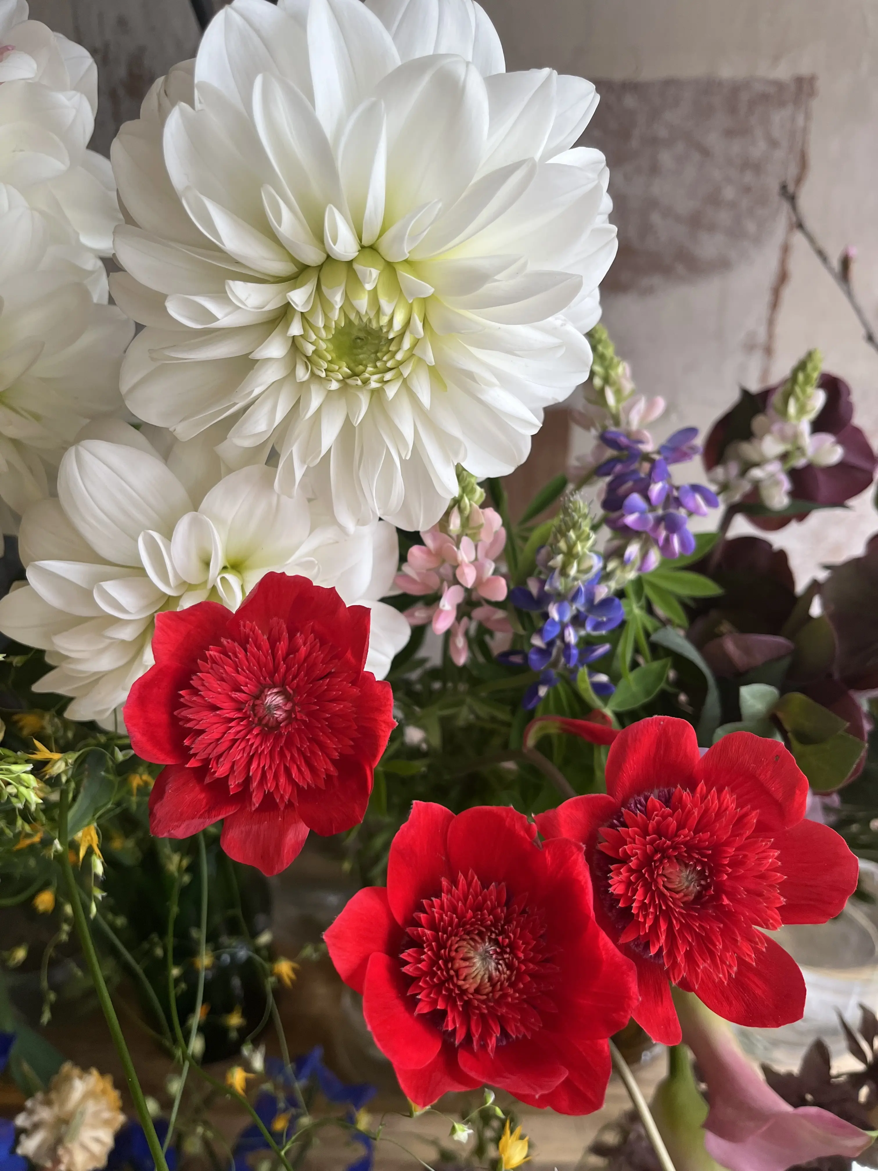 花屋で写真館_1_7