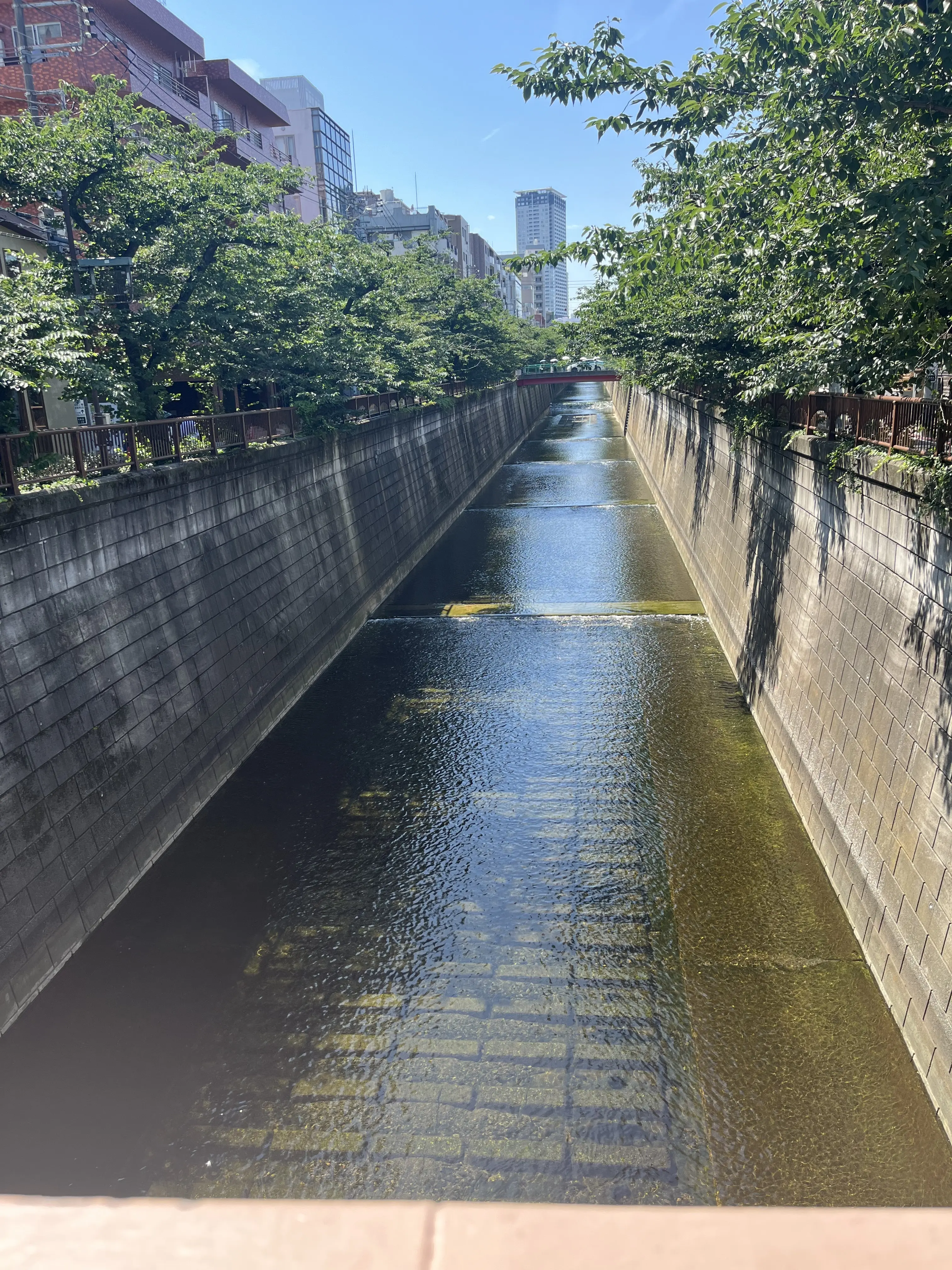 初夏のお花で『花屋で写真館♪』_1_16
