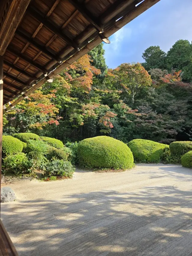 秋の京都ひとり旅・中編 ～瑠璃光院から詩仙堂へ〜わずかな時間も特別な京都の午後_1_15