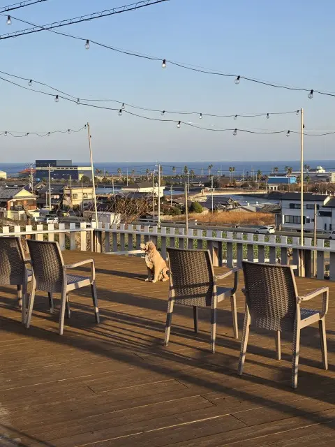 淡路島で新年会_1_14