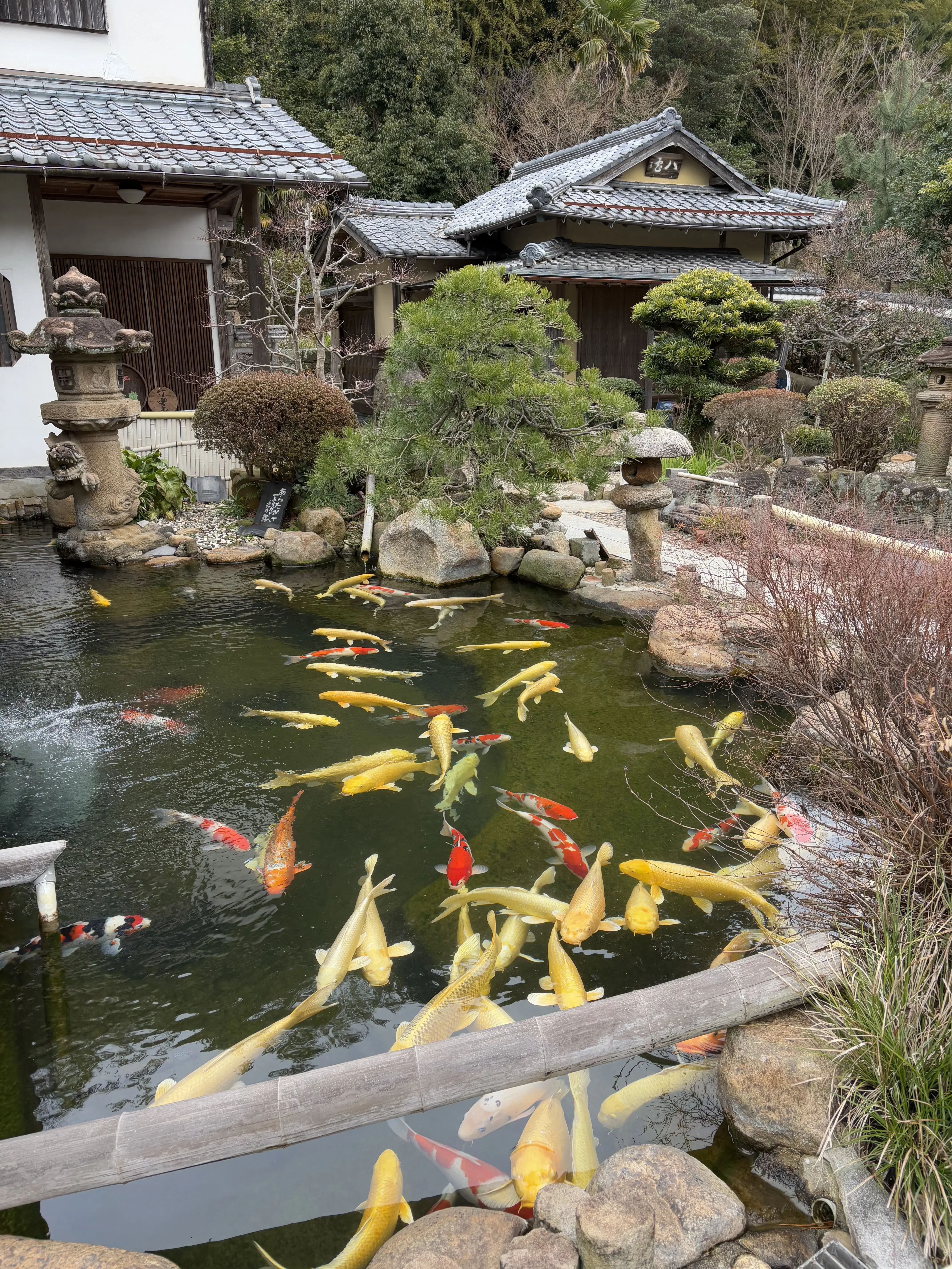 出雲松江旅　松江城　夫婦旅行