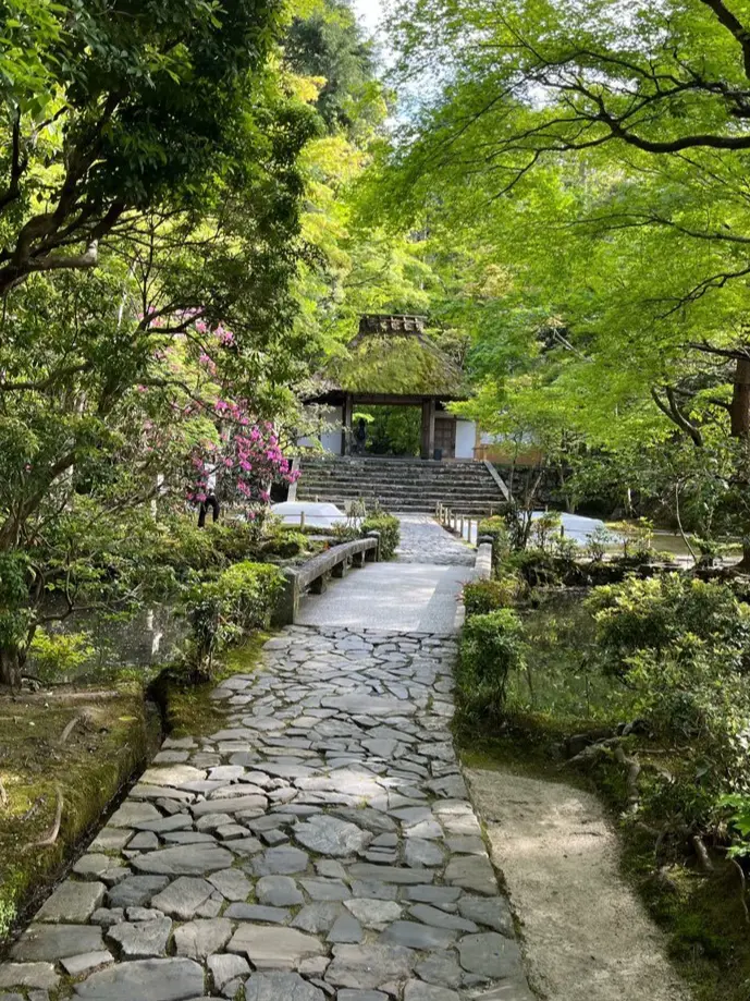法然院　京都観光　京都おでかけ　哲学の道　jマダムブログ