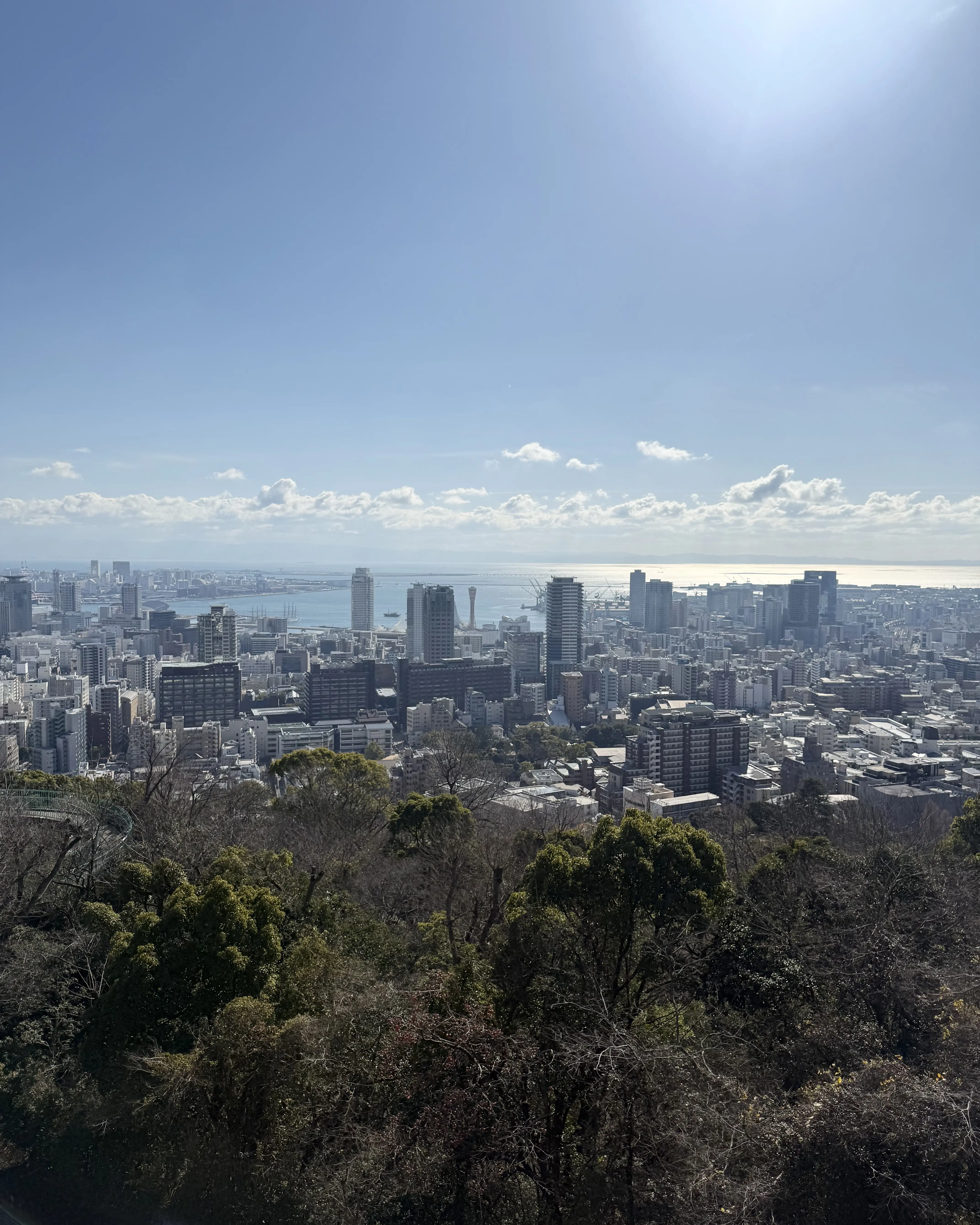 神戸北野テラス　ランチ