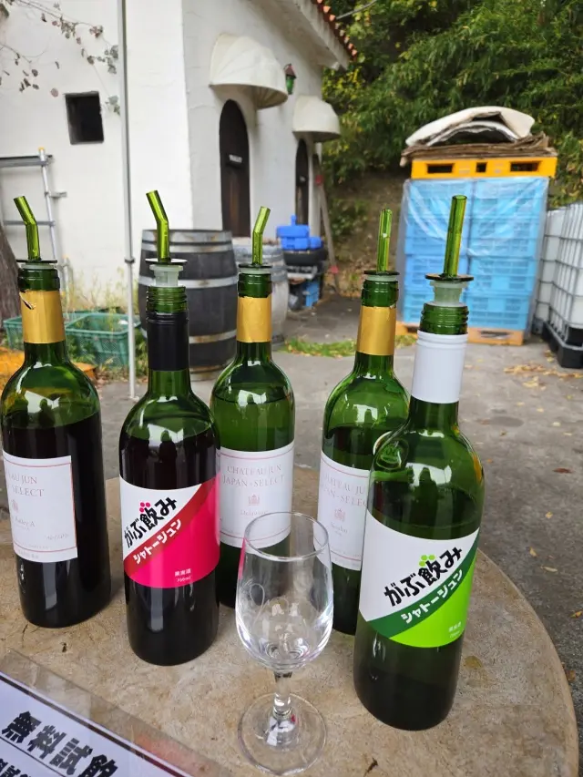 ワインツーリズム やまなし・秋 2025 勝沼_1_10