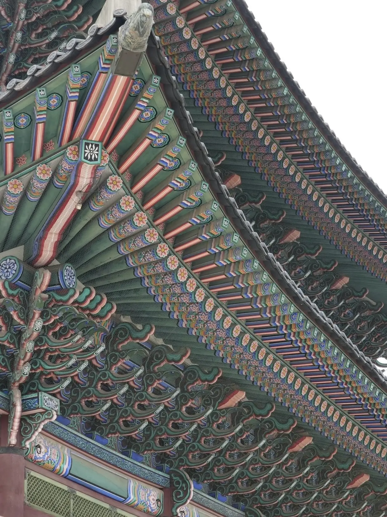 好きが詰まった韓国旅行③🇰🇷✨_1_21