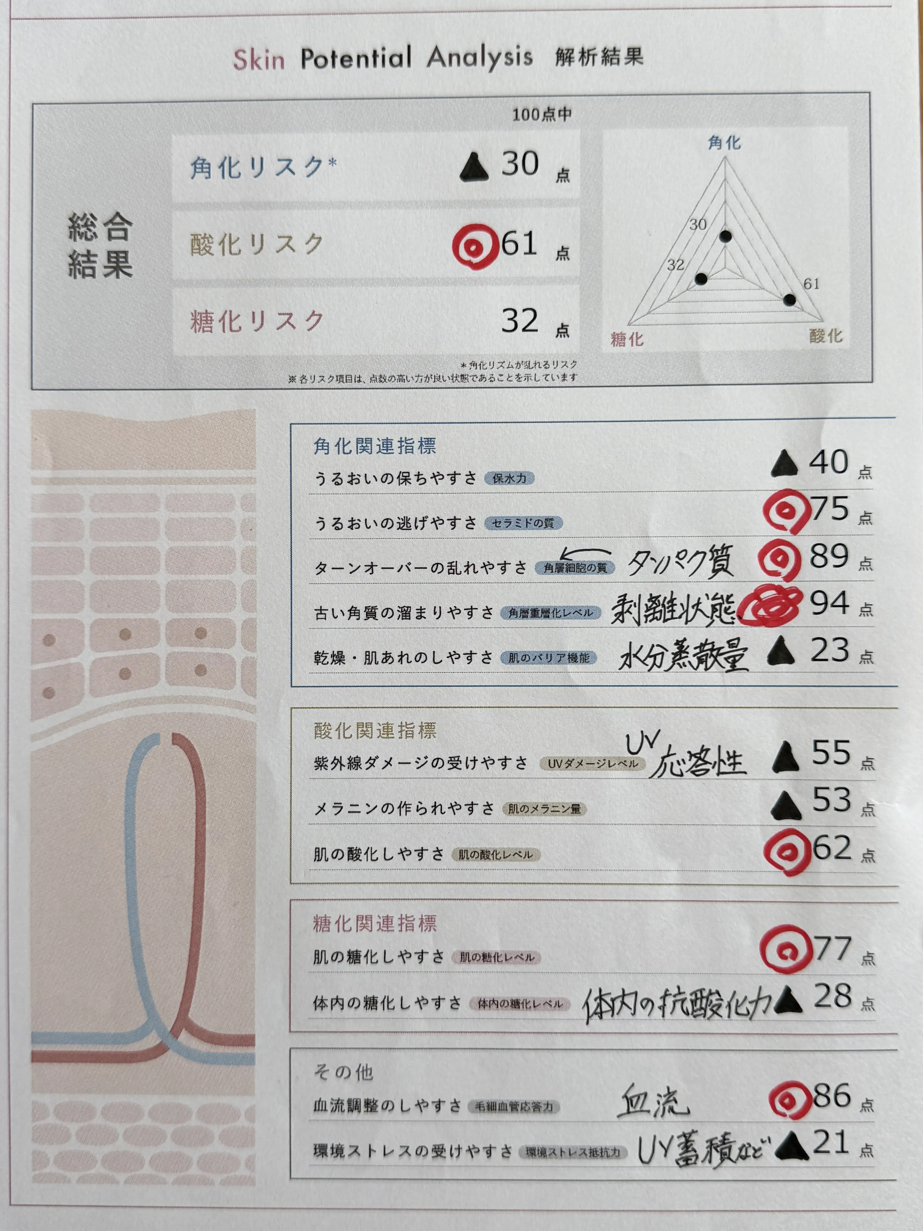 美肌への近道は自分の肌を知ることから！最先端の肌解析「スキンポテンシャルアナリシス」を体験_1_3-1