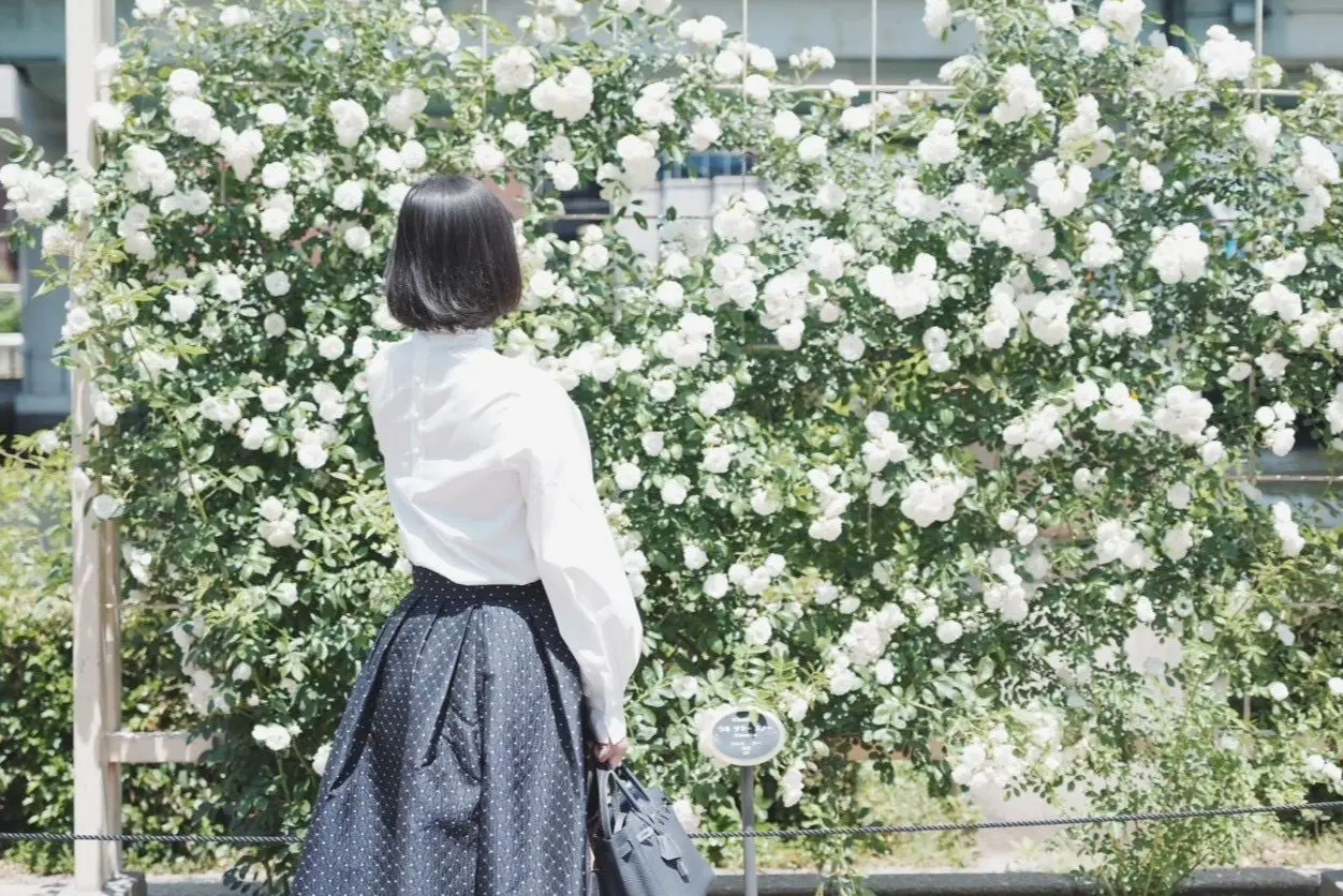 新緑の季節、バラが見頃の大阪中之島公園へ♪_1_7-1