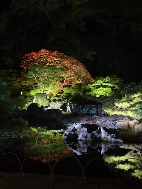 栗林公園ライトアップ_1_11