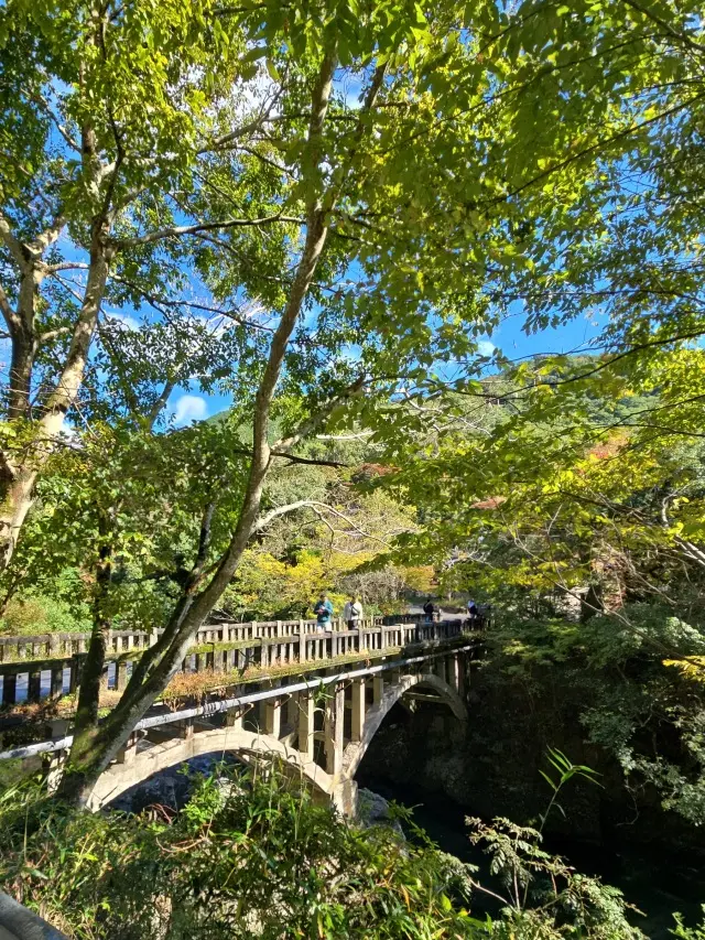 秋の京都ひとり旅・中編 ～瑠璃光院から詩仙堂へ〜わずかな時間も特別な京都の午後_1_3