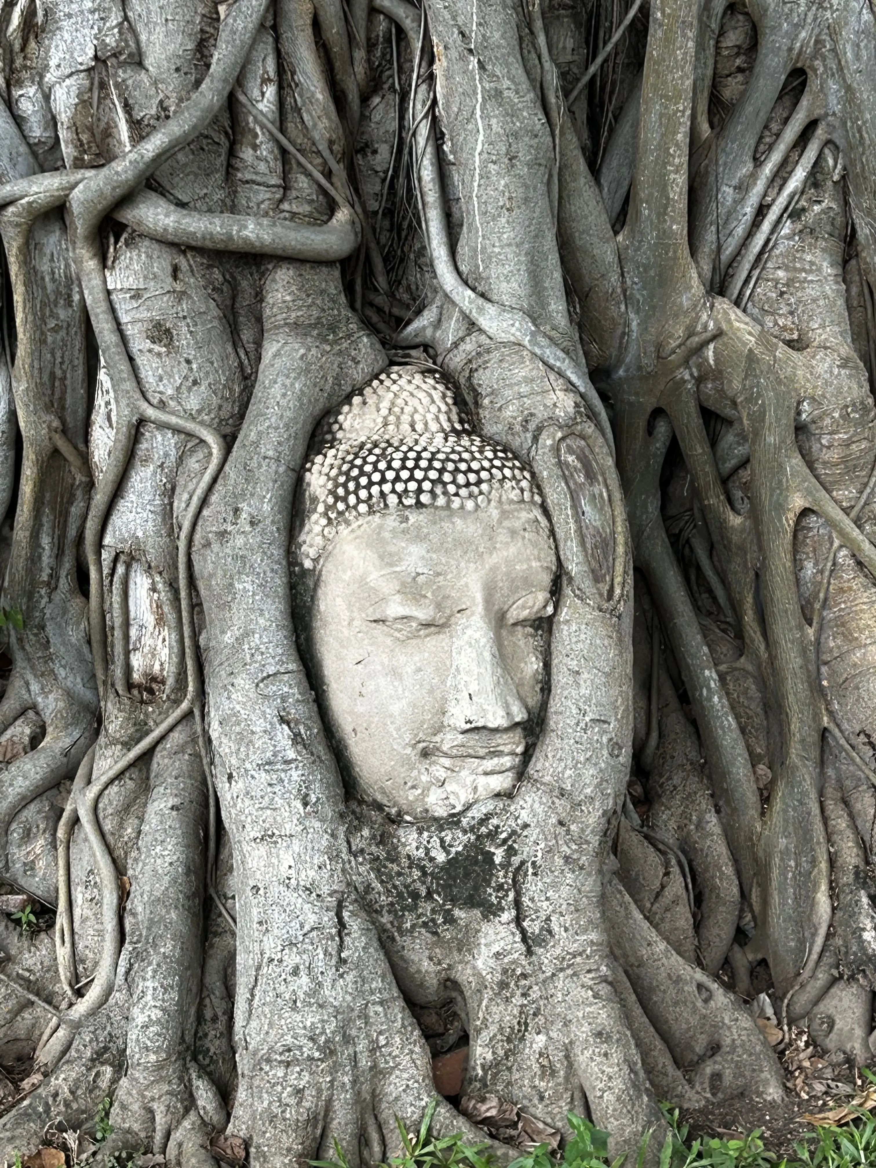 アユタヤ遺跡　行き方　回り方　世界遺産　Ayutthaya 　ซากโบราณสถานอยุธยา