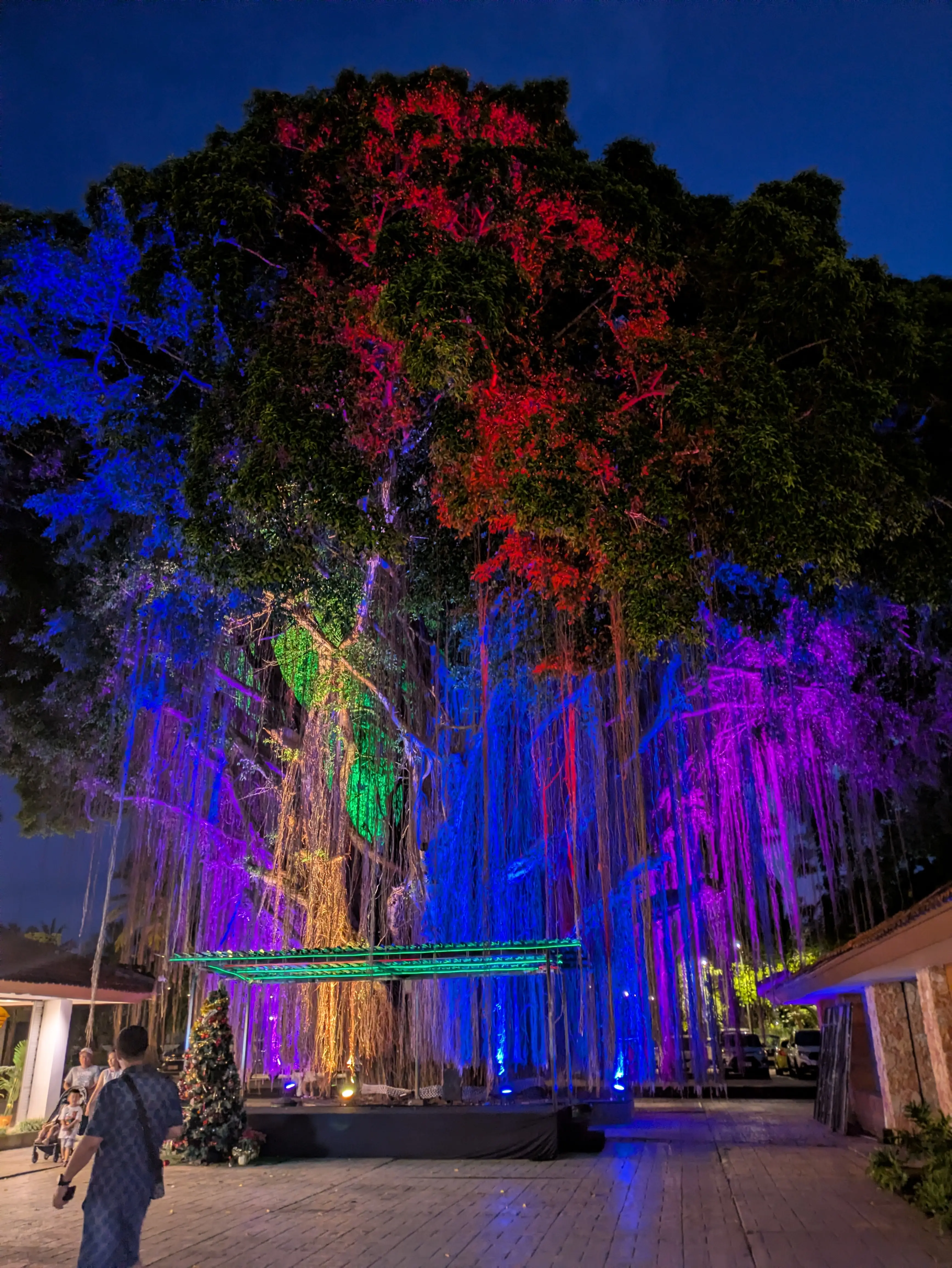 【2026年冬旅】年越しは夫婦で初めてのバリ島へ！その②_1_23