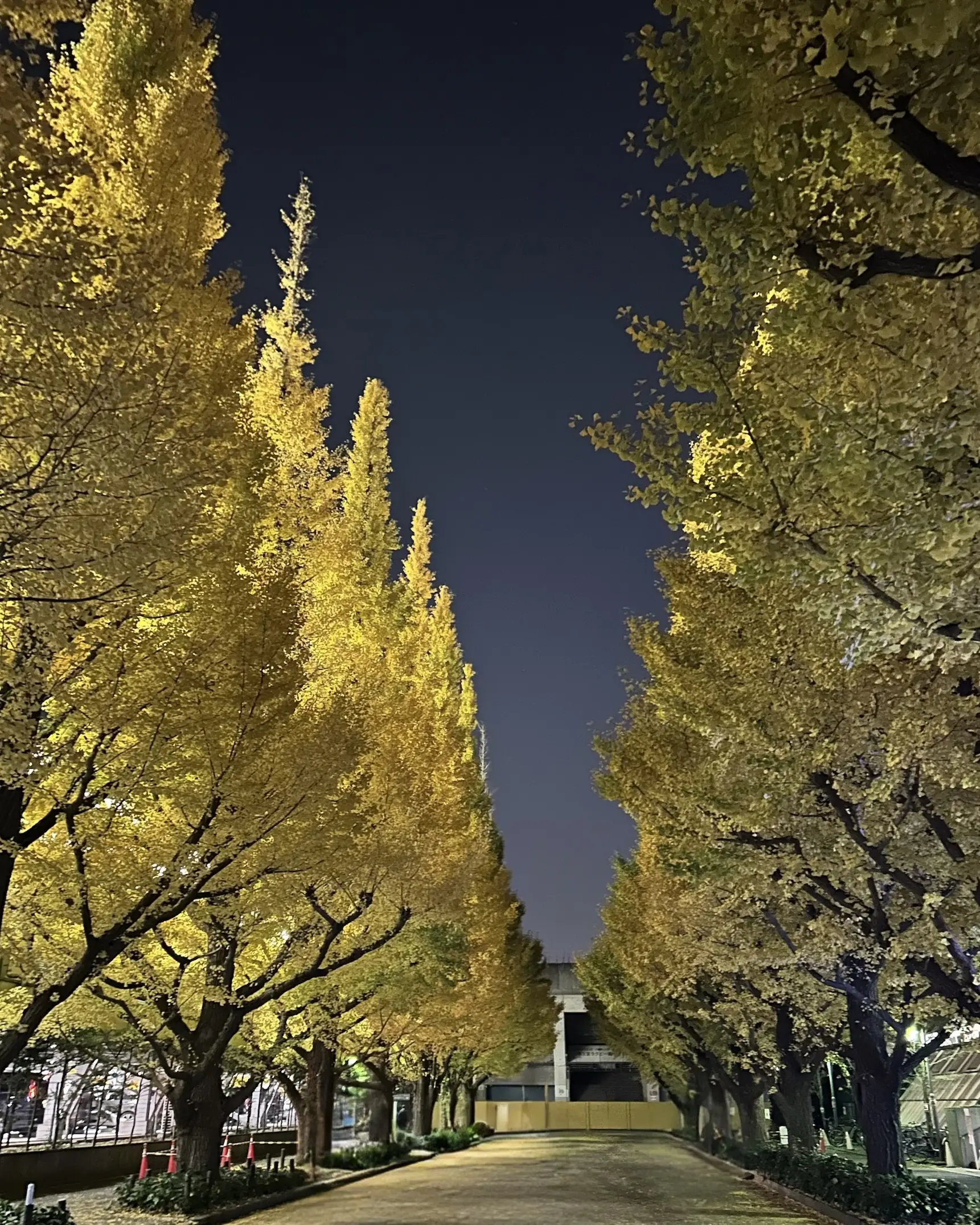 【UNIQLOデニムシャツ×スキニーパンツ】私のデイリーコーデ✨_1_8