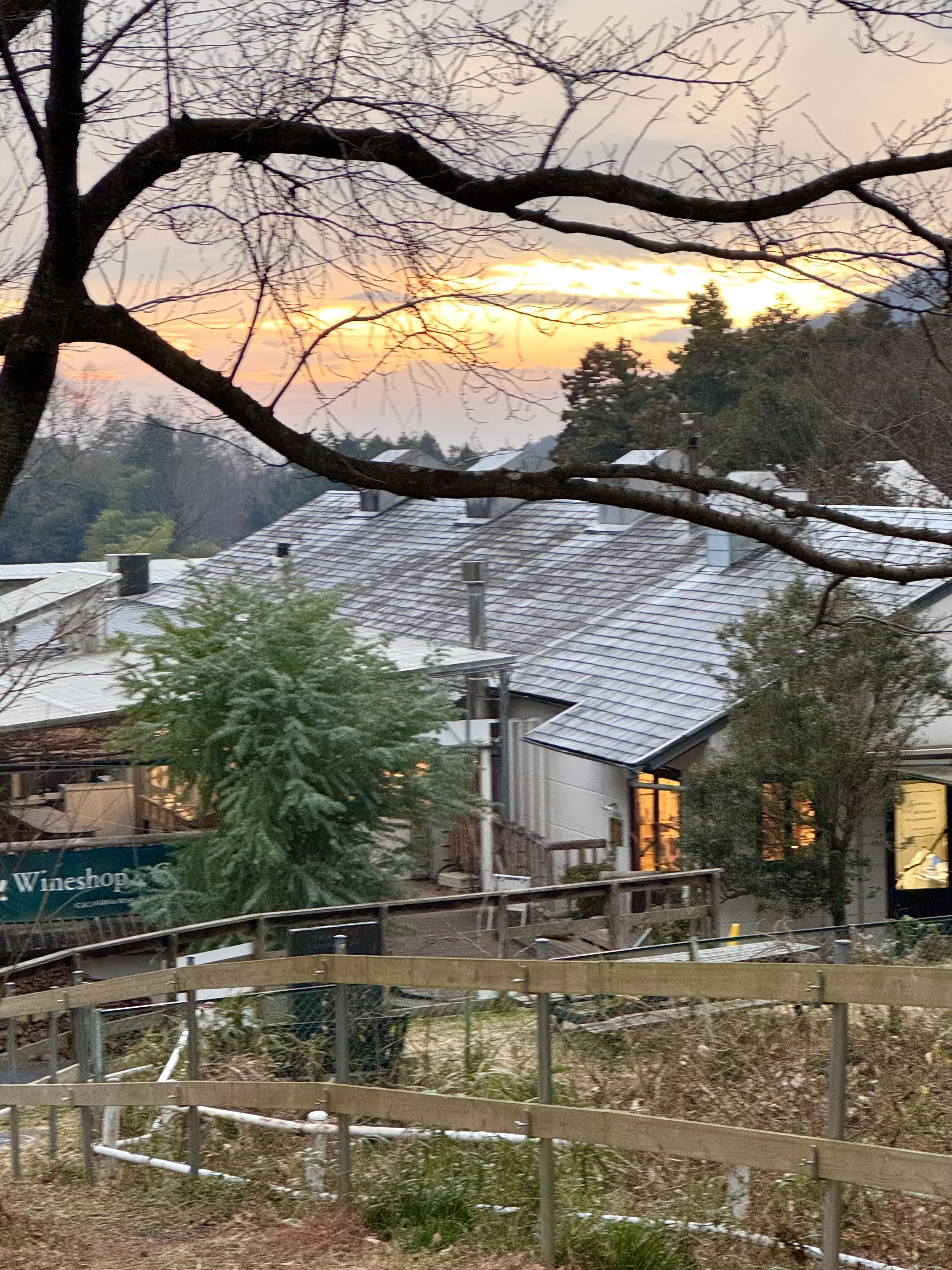 時間に追われない休日にココファームワイナリーへ寄り道_1_10