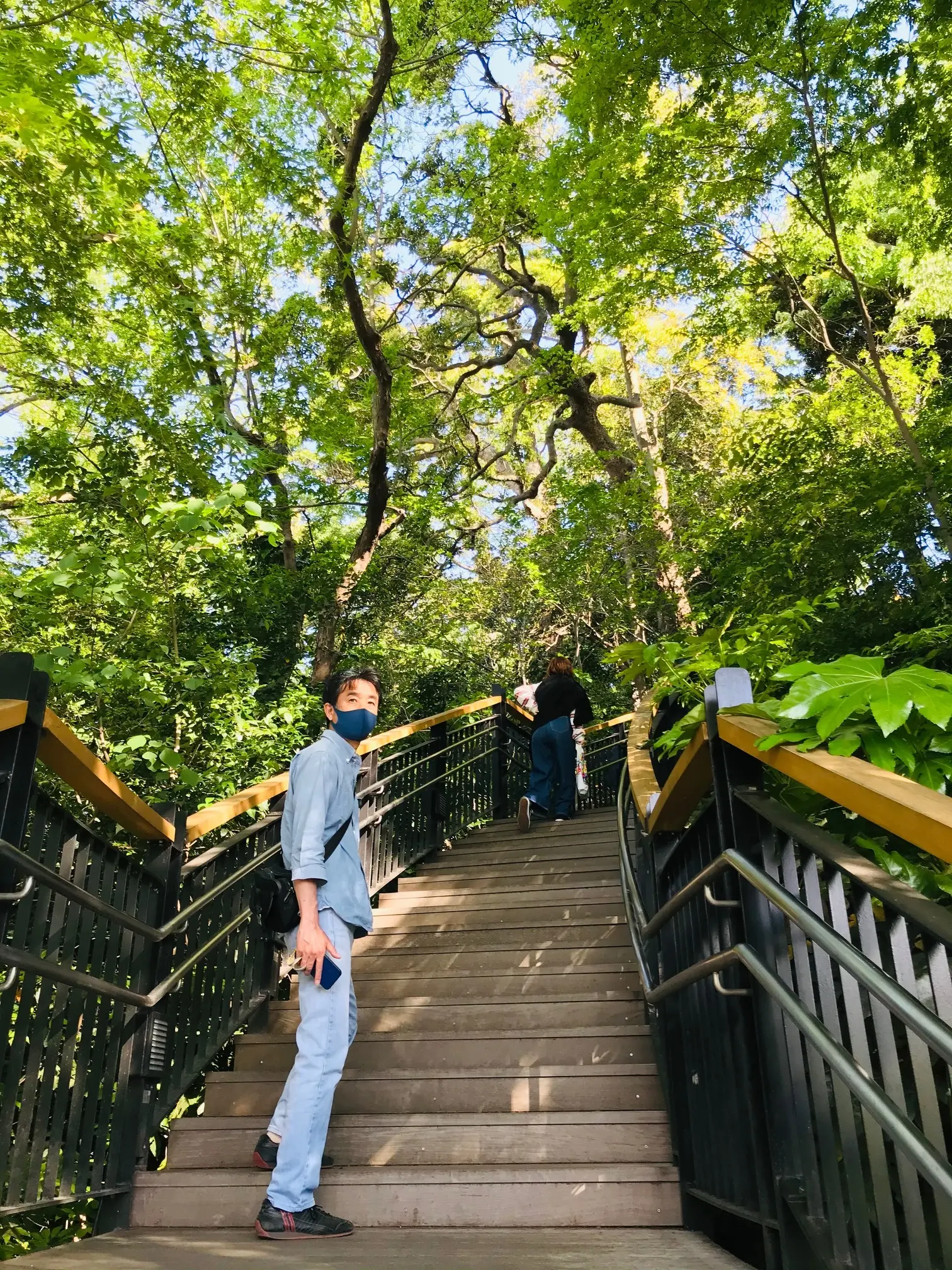 港が見える丘公園☀︎〜英国風庭園◎華やかな薔薇たち_1_5