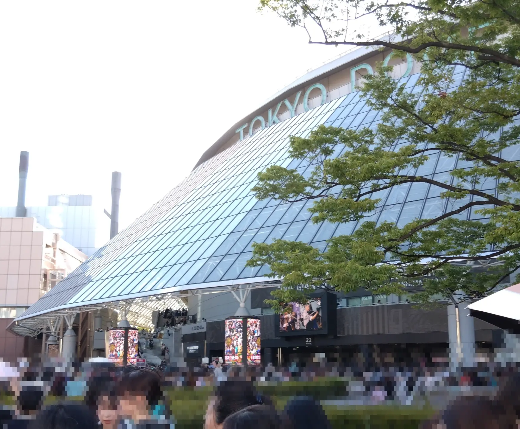 東京ドーム