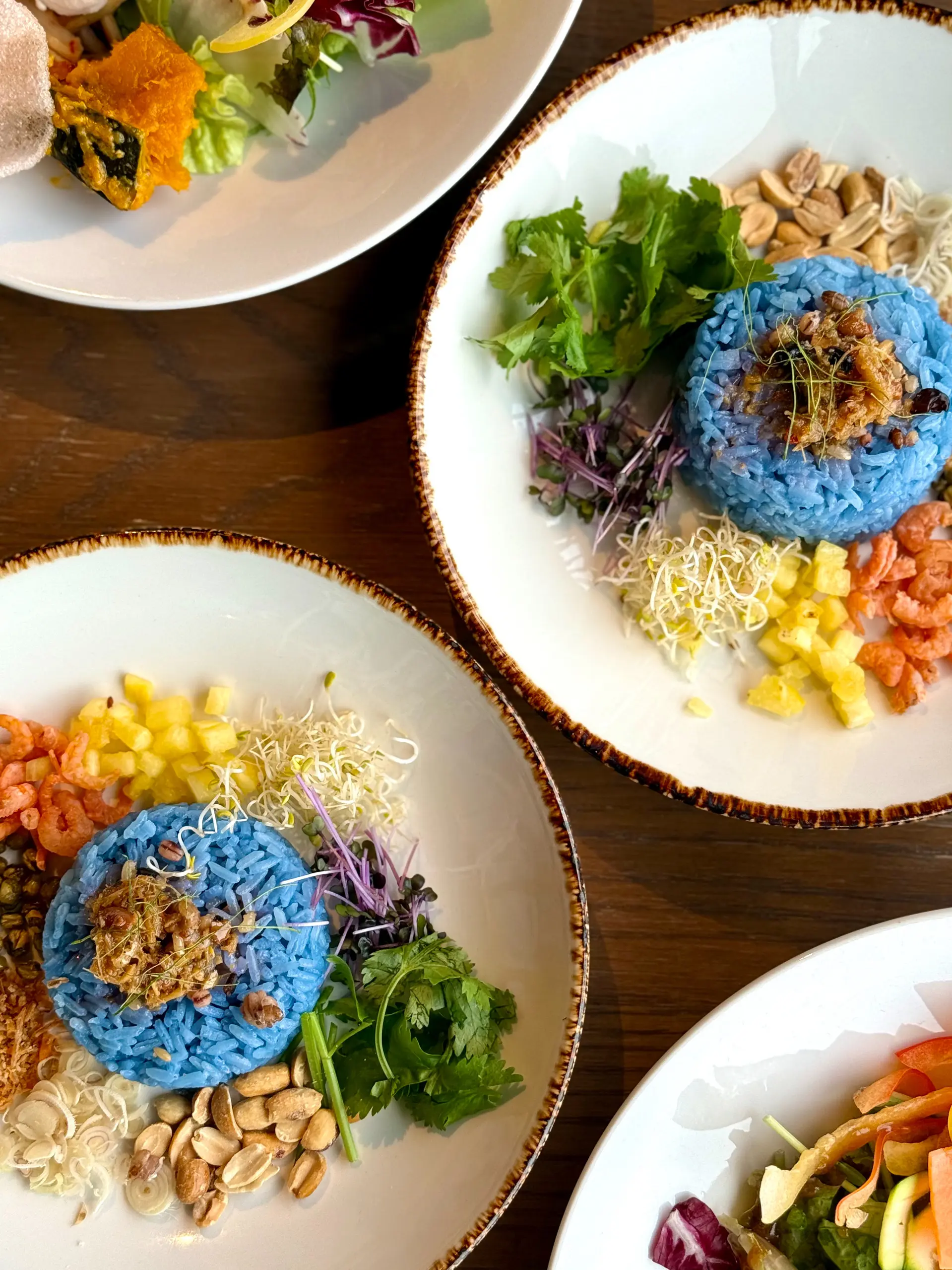 【秋のお出かけ】品よくきちんと見えするジャケットを羽織ってランチへ_1_11