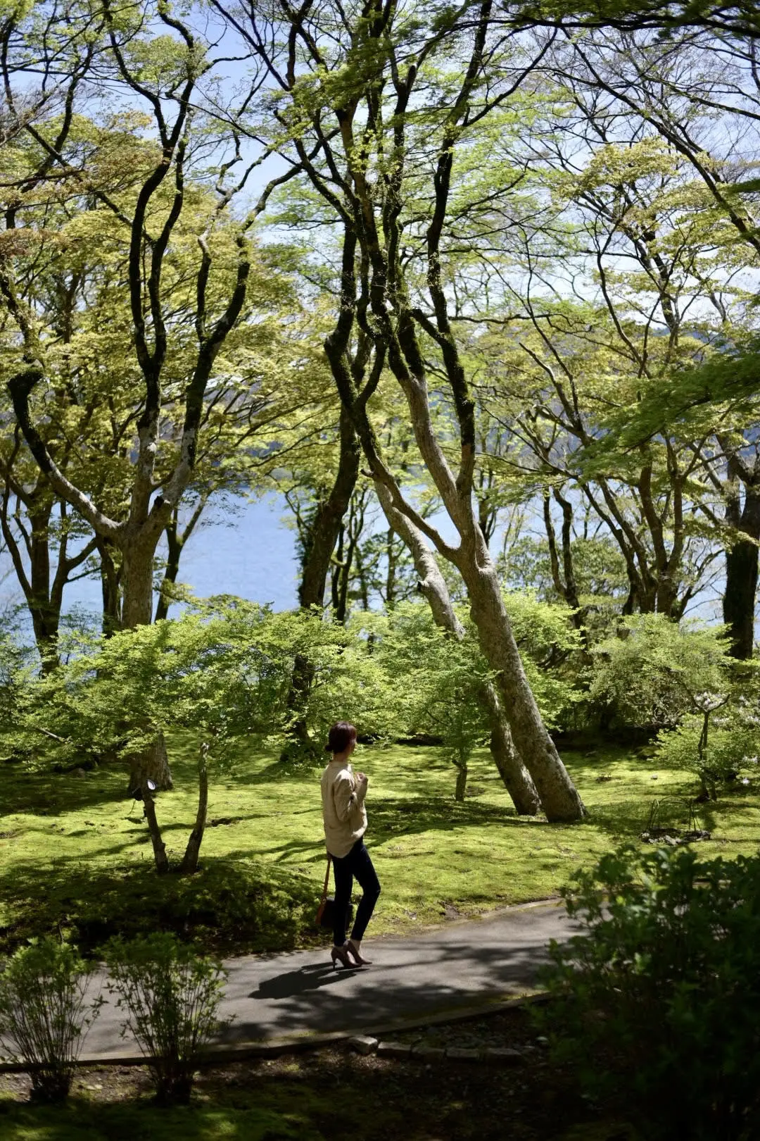 箱根・山のホテルつつじの庭園へ_1_1