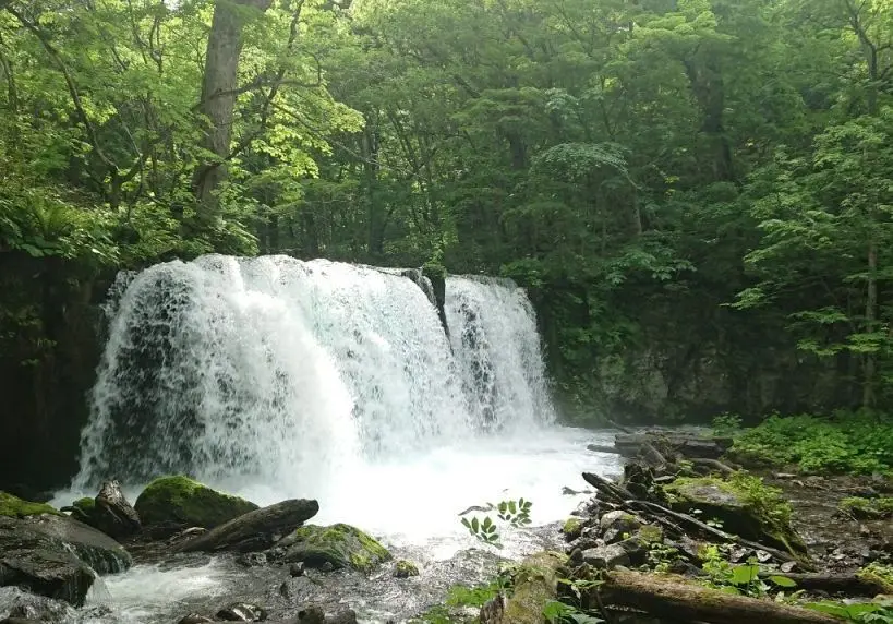 春〜初夏の銚子大滝