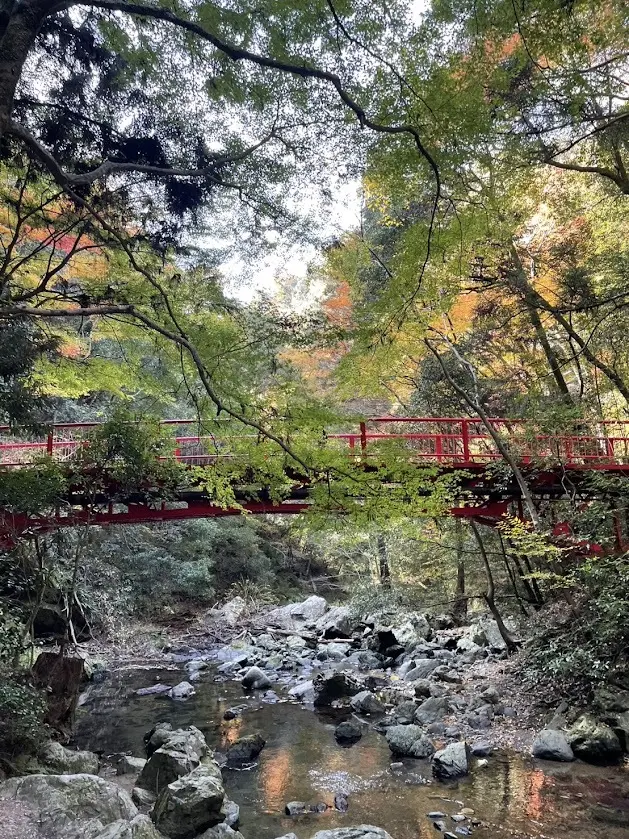 大阪紅葉名所　箕面