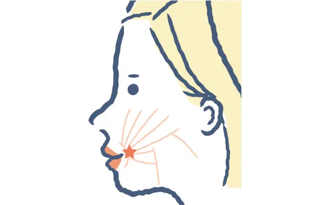 筋肉の集まる重要ポイントを口の内側から舌でマッサージ
