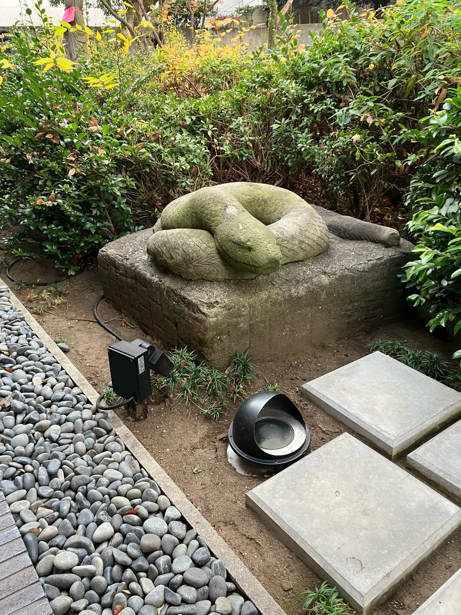 宝珠院　へびにまつわるお寺　巳年　幸先詣　GUブーツ ポインテッドニットブーツ　Jマダムのブログ　初詣　白蛇様　へびにちなんだ神社仏閣