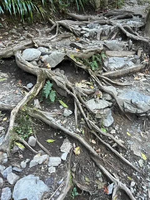 世界一の登山者数を誇る「高尾山」登山☆_1_4