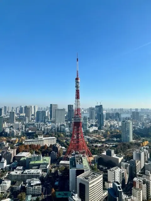 展望台から東京タワーが見えます